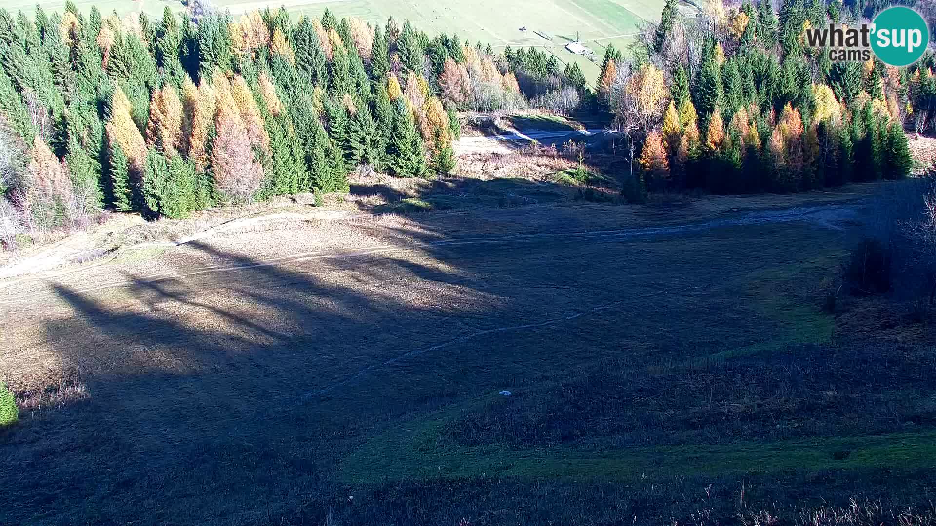 Kranjska Gora livecam VITRANC 1 | estación superior