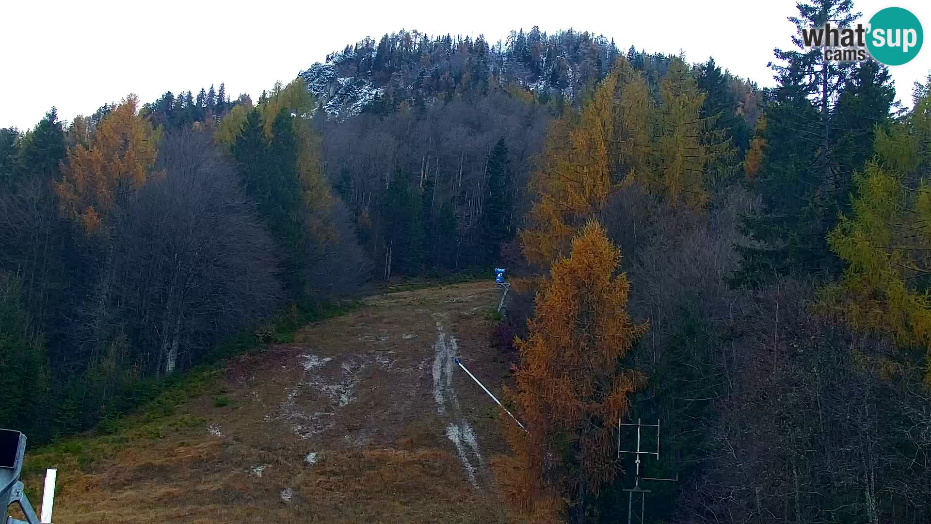 Kranjska Gora kamera VITRANC 1 | Zgornja postaja