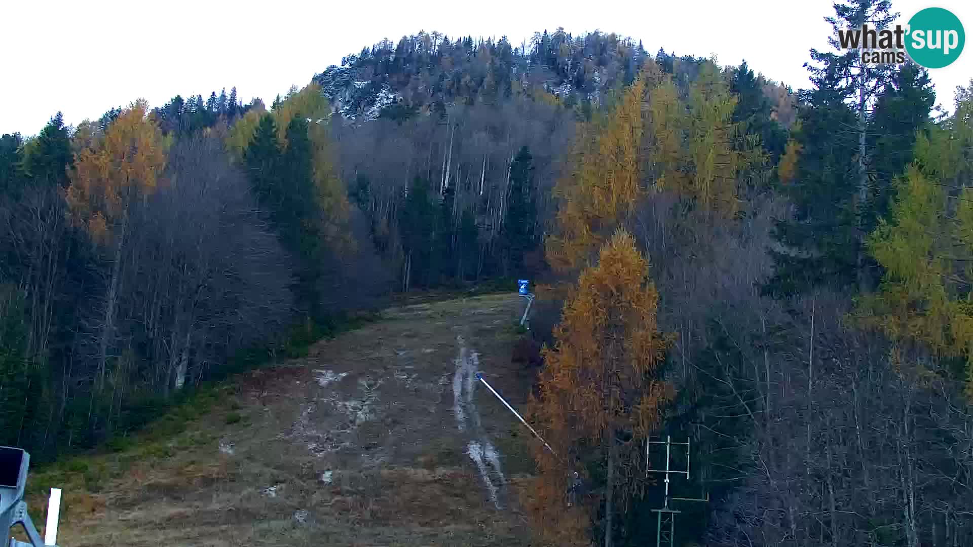 Kranjska Gora livecam VITRANC 1 | estación superior