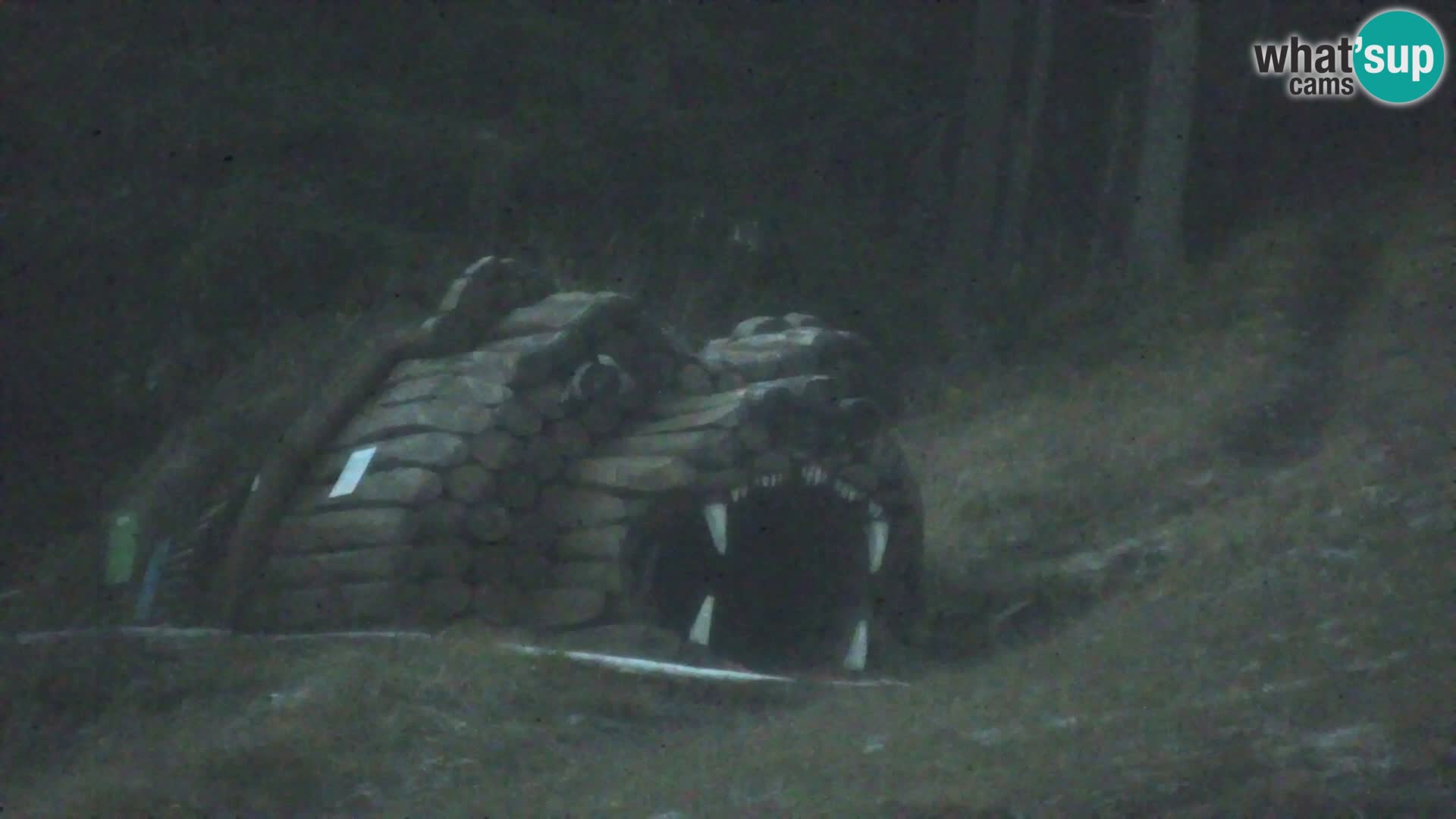 Kranjska Gora livecam VITRANC 1 | estación superior