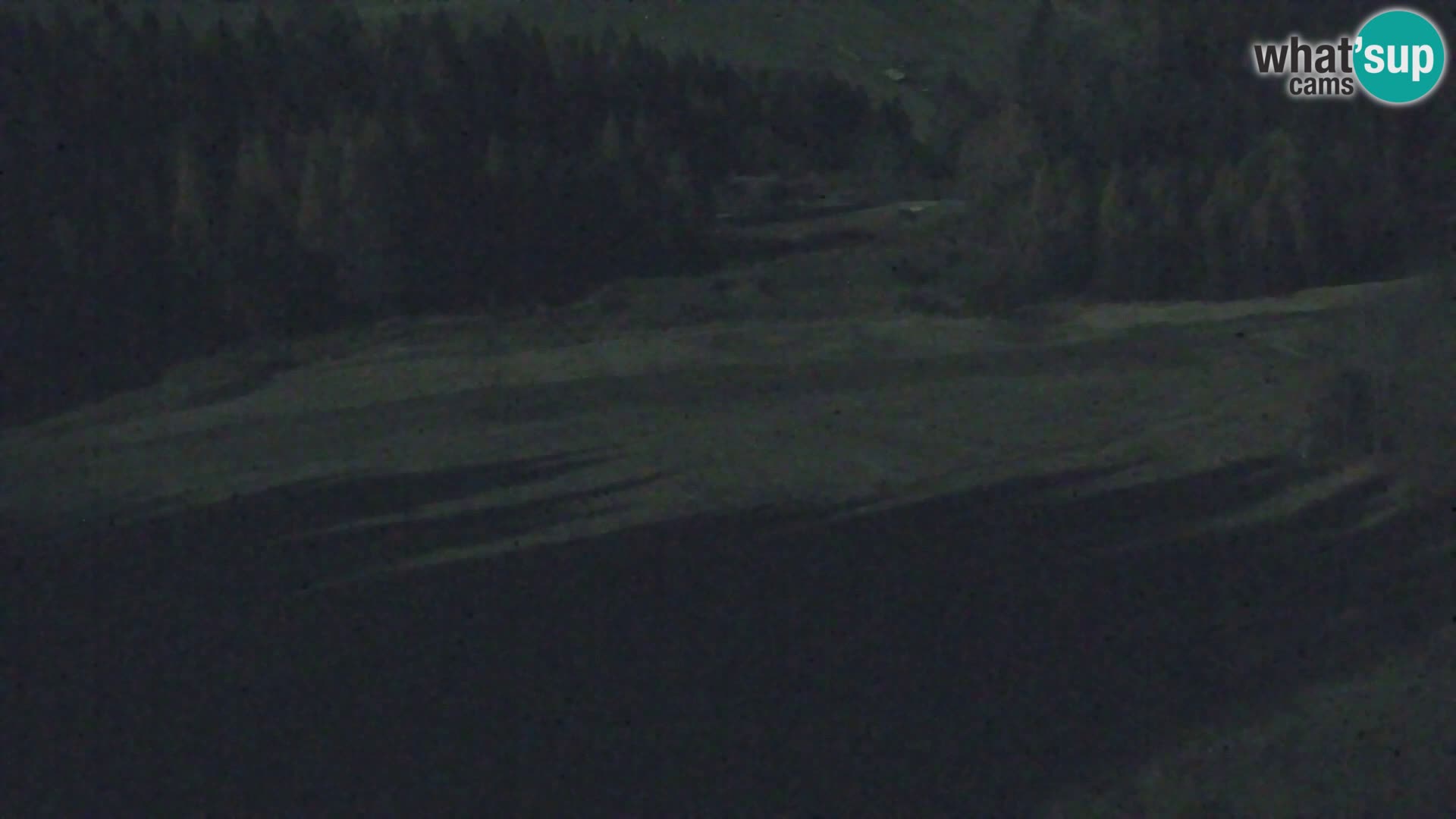 Vitranc Kranjska Gora webcam | VITRANC 1 stazione superiore