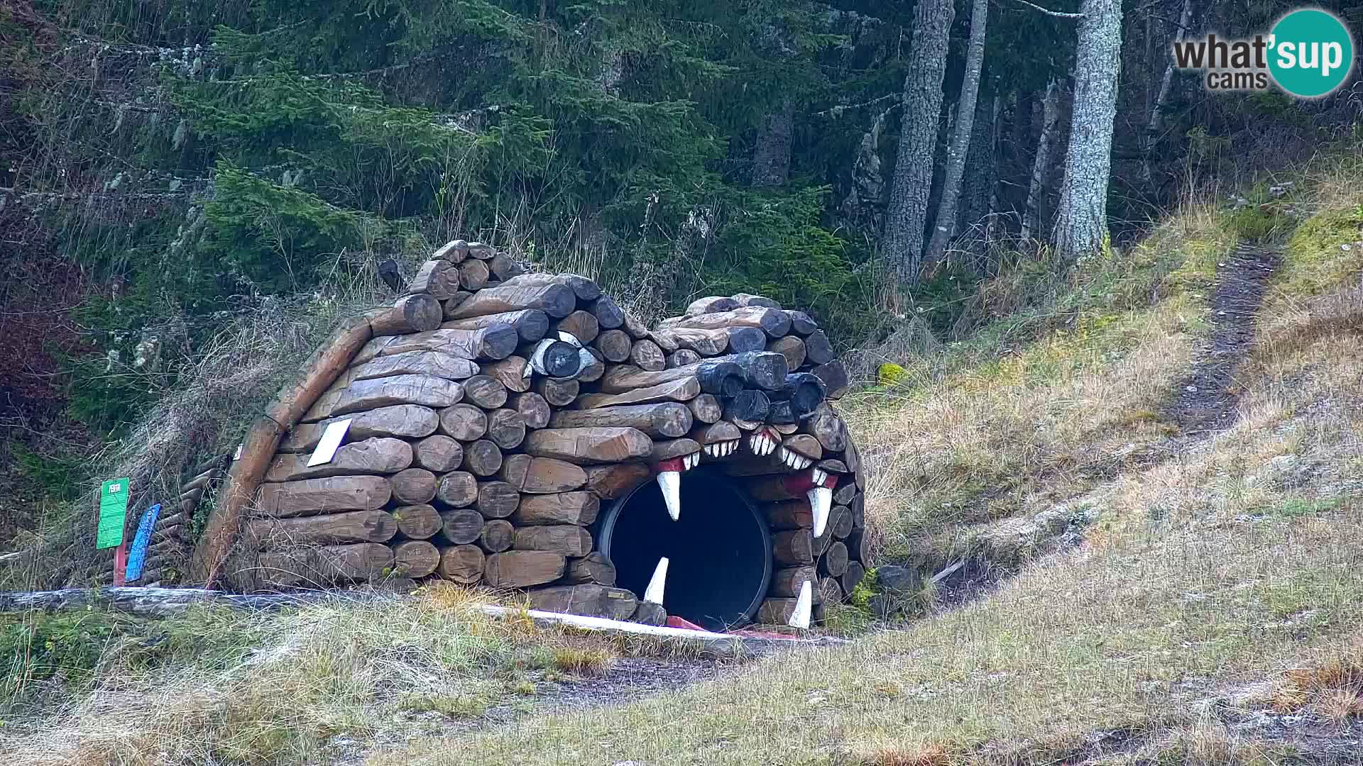 Vitranc Kranjska Gora webcam | VITRANC 1 stazione superiore
