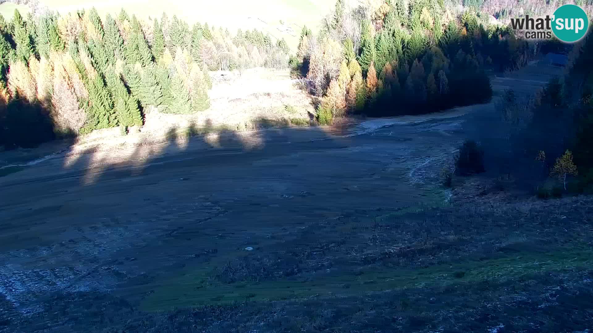 Vitranc Kranjska Gora webcam | VITRANC 1 stazione superiore