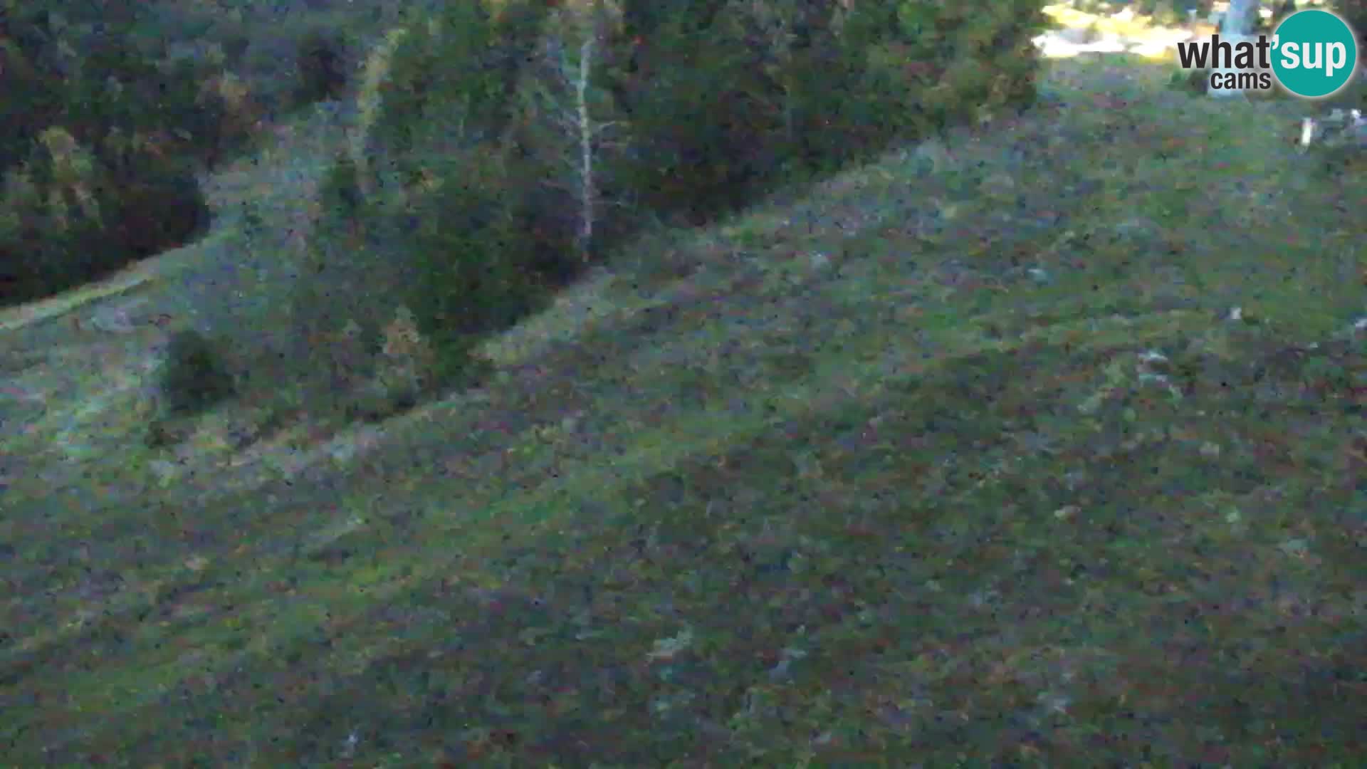 Vitranc Kranjska Gora webcam | VITRANC 1 stazione superiore