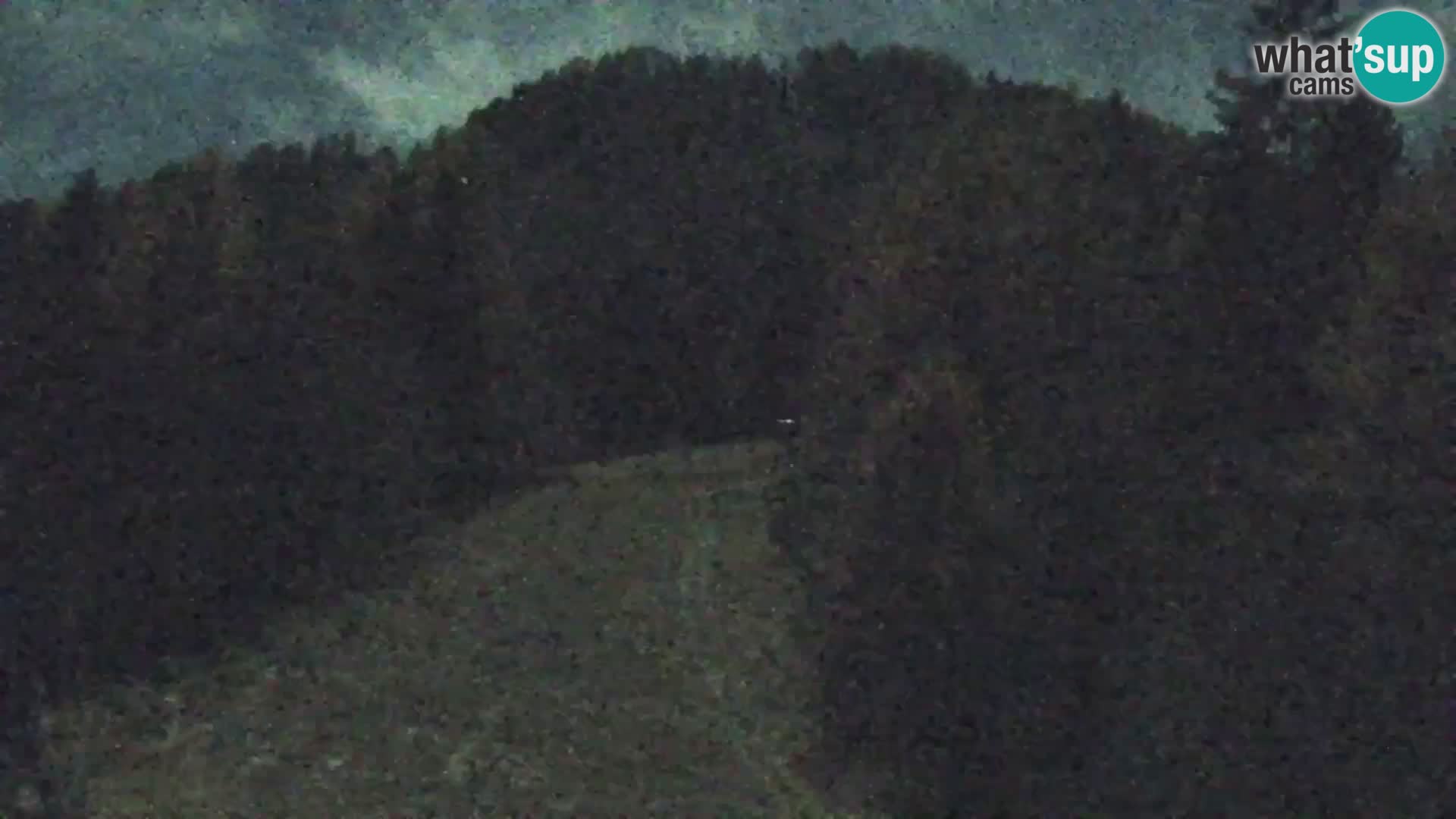 Vitranc Kranjska Gora webcam | VITRANC 1 stazione superiore