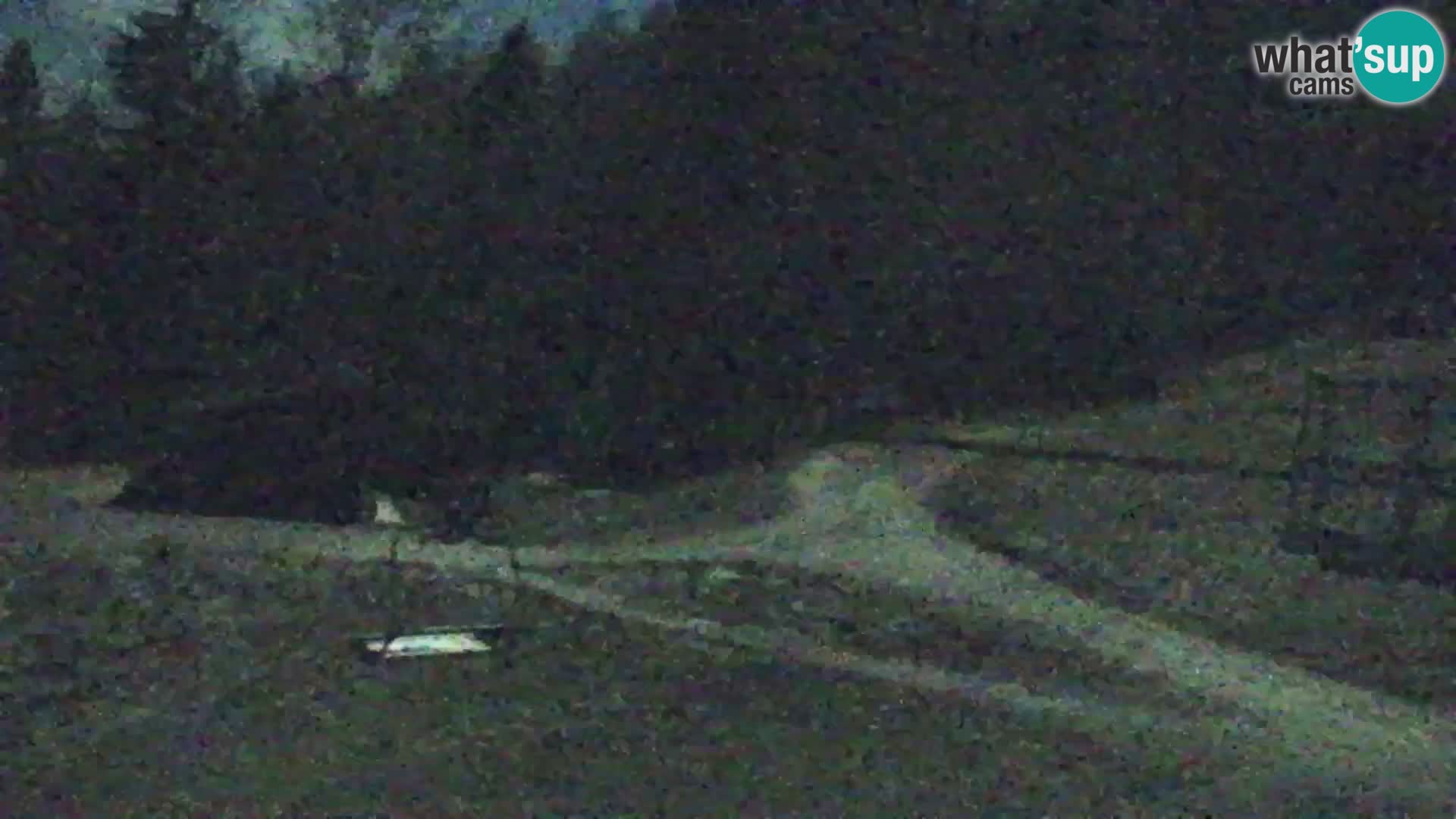 Vitranc Kranjska Gora webcam | VITRANC 1 stazione superiore
