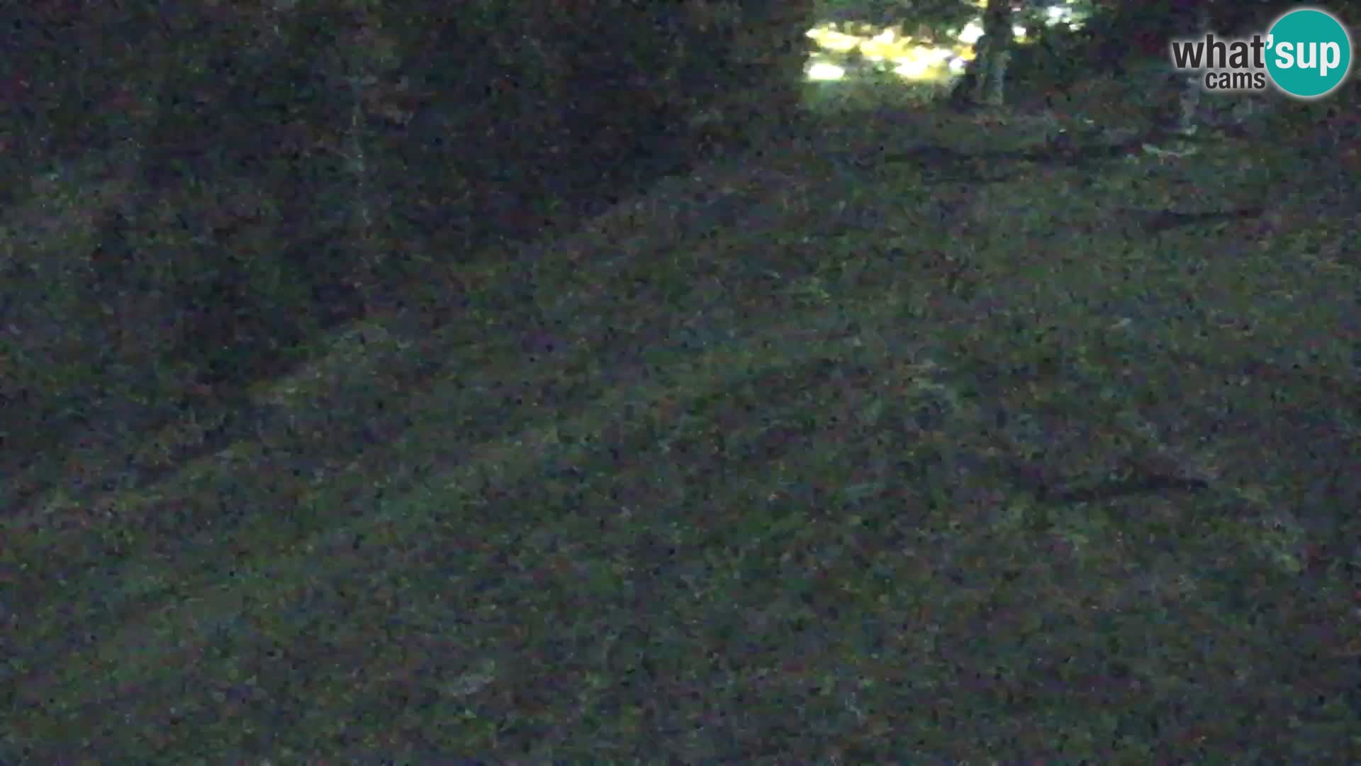 Kranjska Gora livecam VITRANC 1 | estación superior