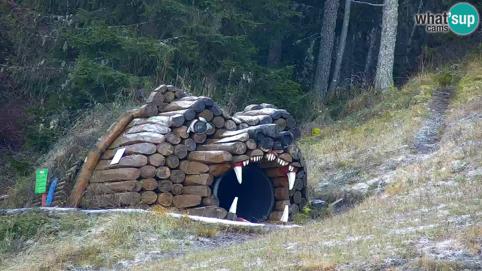 Ski Resort Kranjska Gora | VITRANC 1 upper station