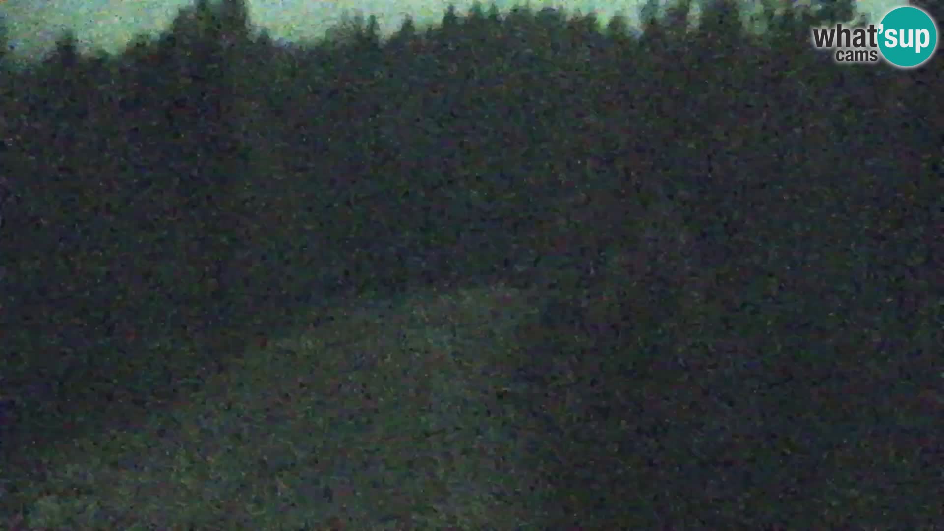 Vitranc Kranjska Gora webcam | VITRANC 1 stazione superiore