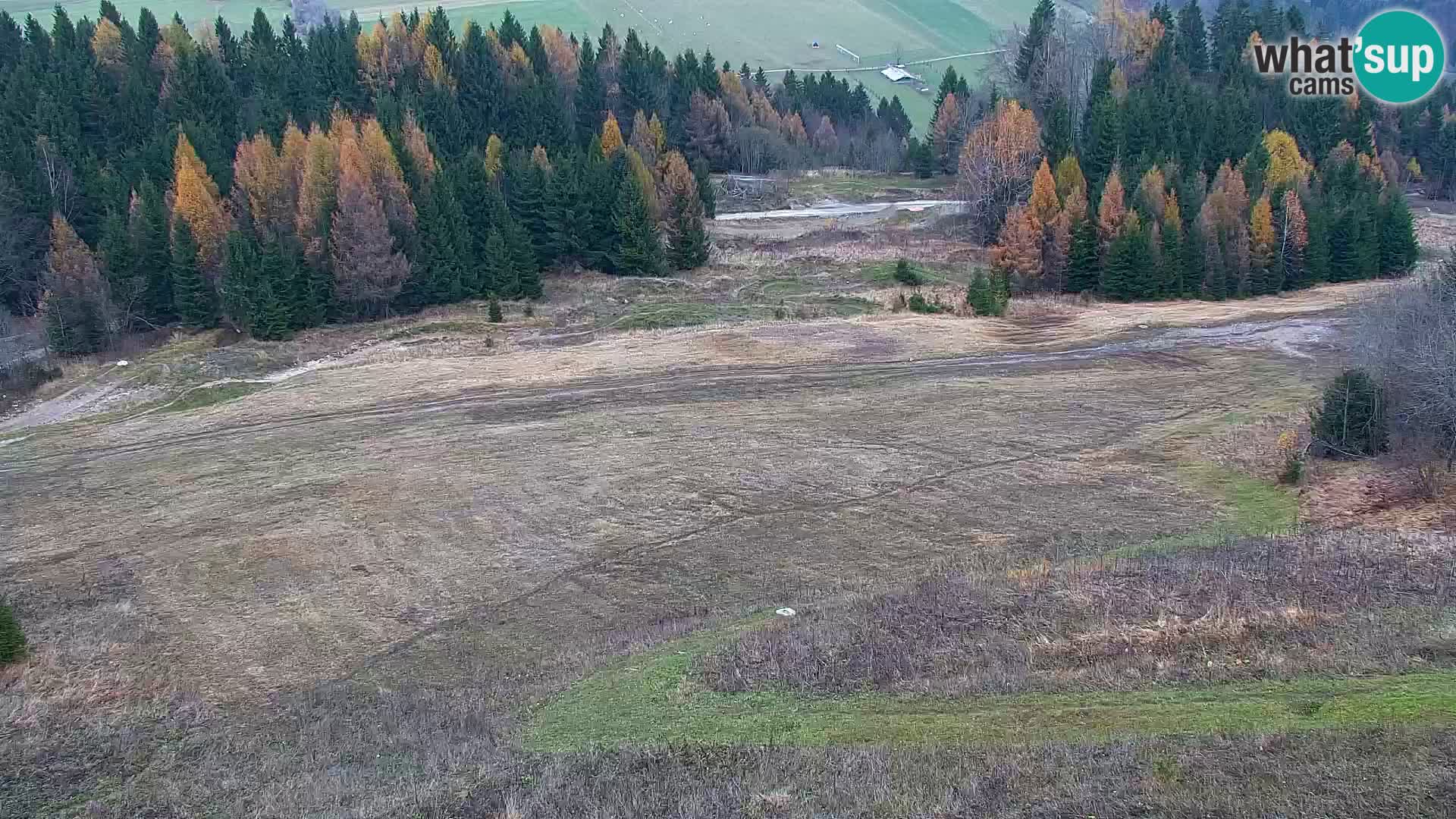 Kranjska Gora web kamera Vitranc | VITRANC 1 gornja postaja
