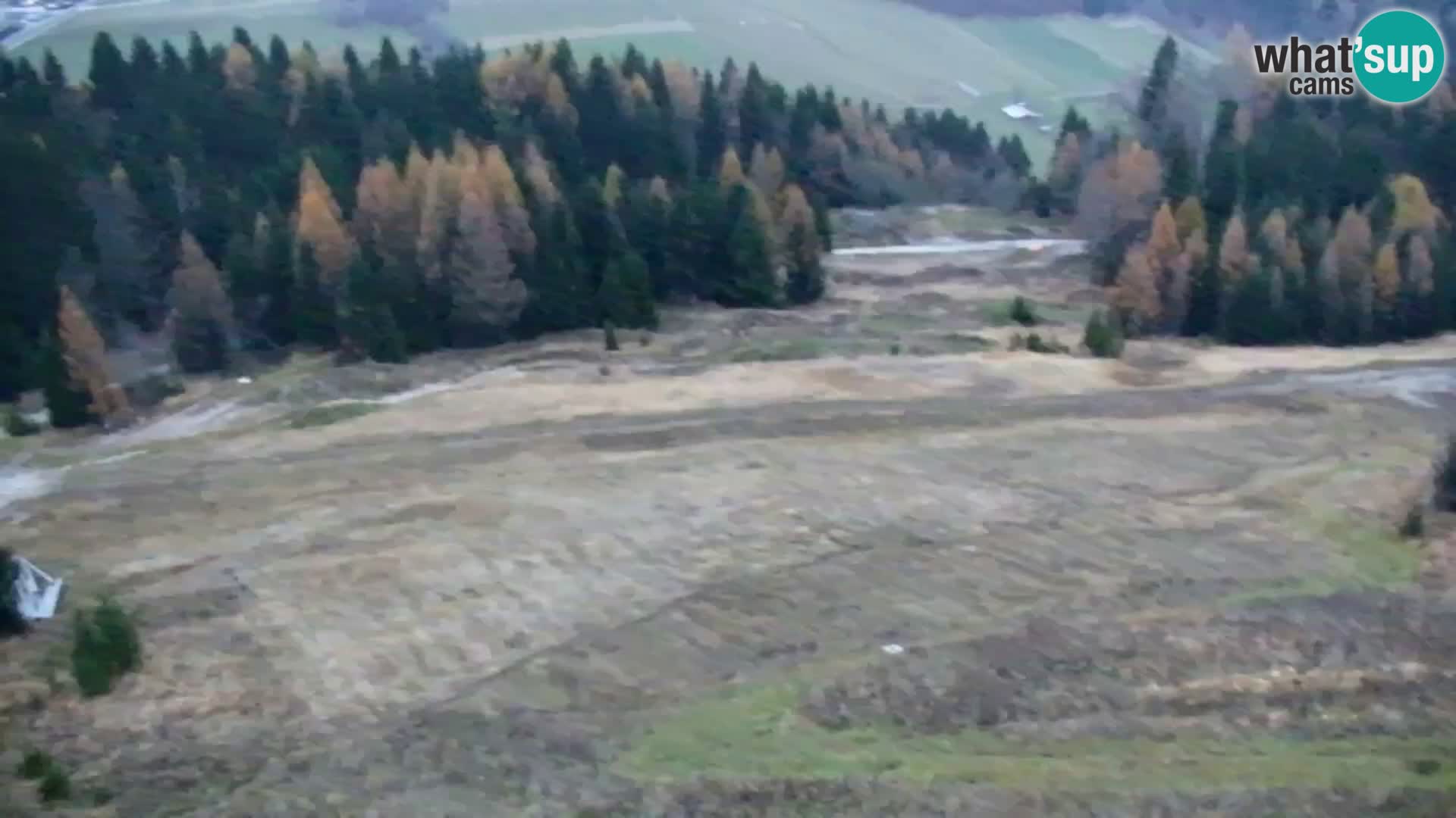 Vitranc Kranjska Gora webcam | VITRANC 1 stazione superiore