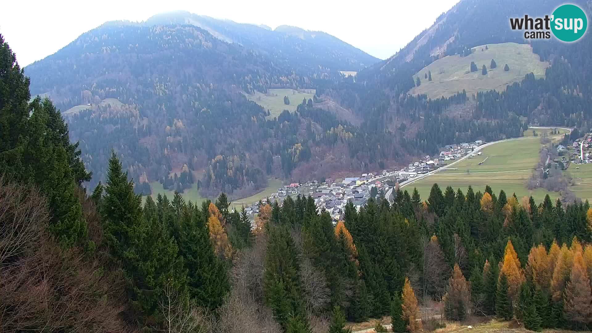 Kranjska Gora livecam VITRANC 1 | estación superior