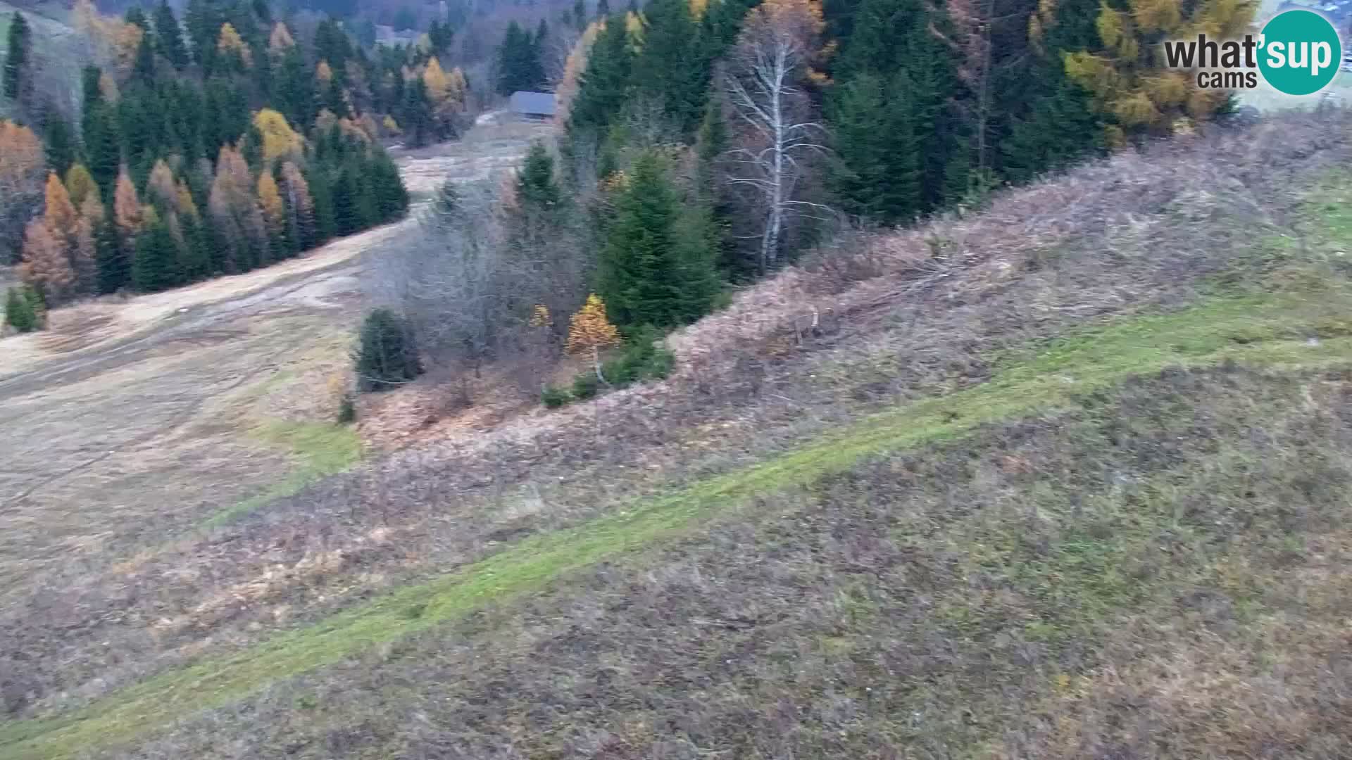 Vitranc Kranjska Gora webcam | VITRANC 1 stazione superiore