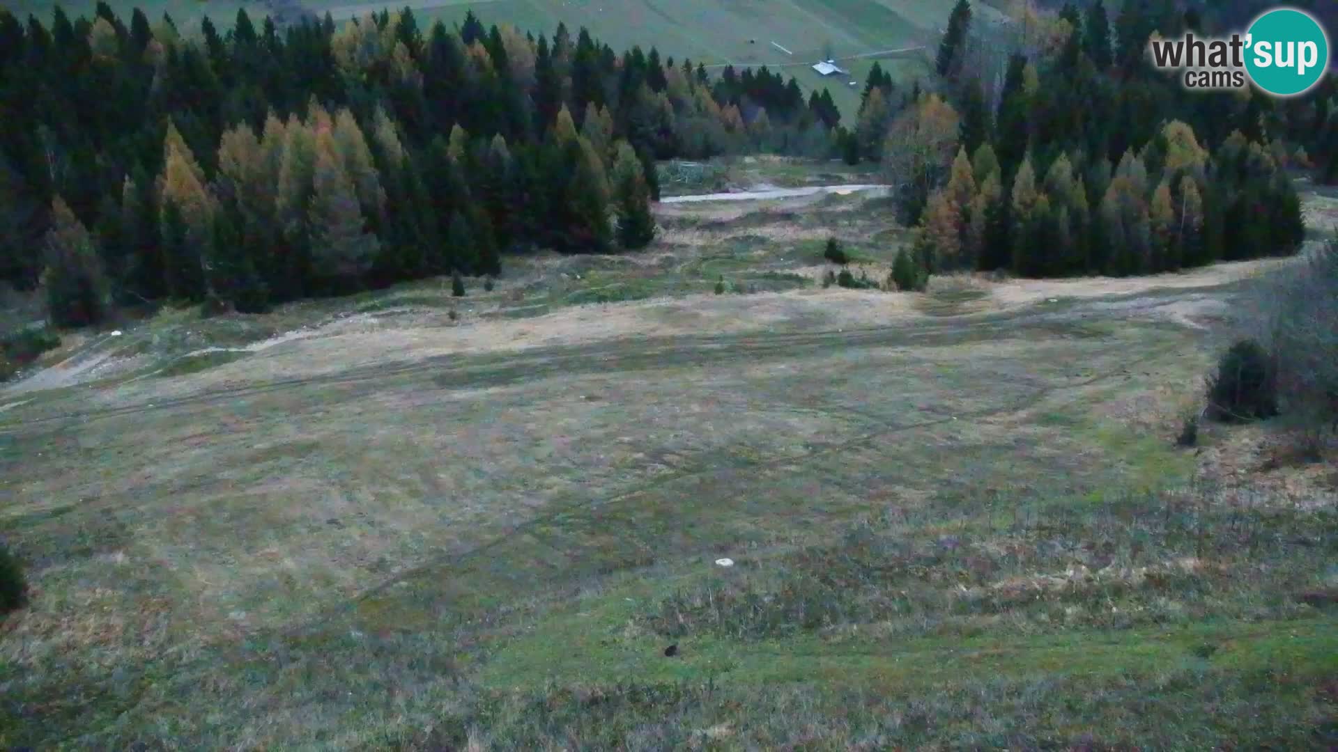 Kranjska Gora web kamera Vitranc | VITRANC 1 gornja postaja