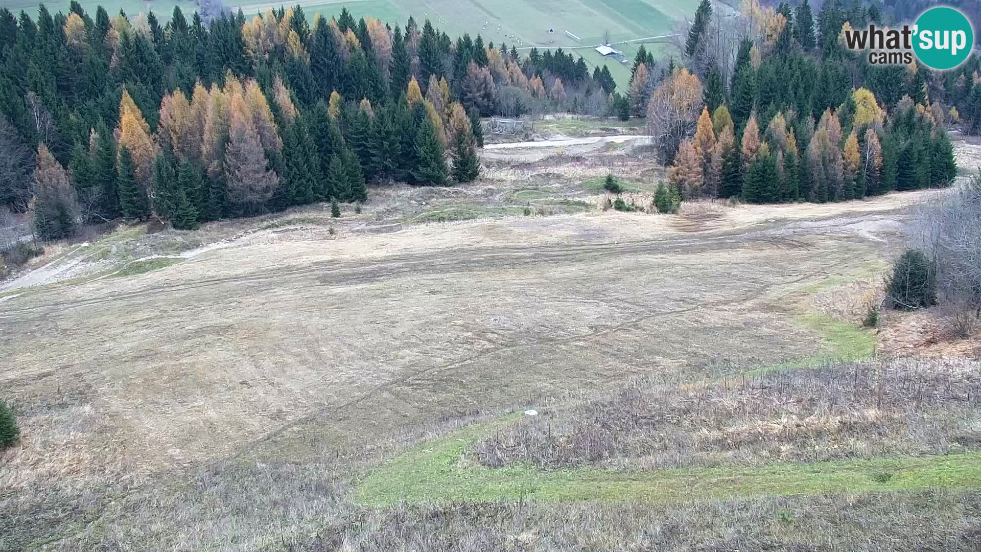 Kranjska Gora web kamera Vitranc | VITRANC 1 gornja postaja