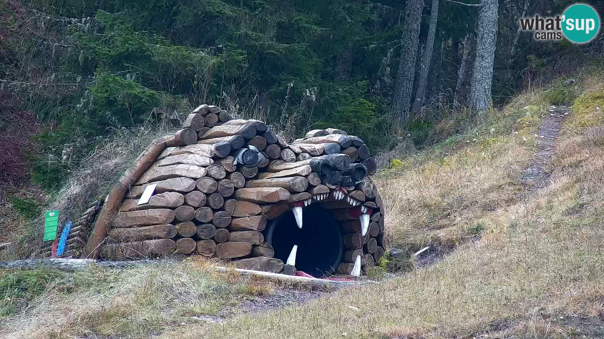 Estación de esquí Kranjska Gora | Estación superior VITRANC 1