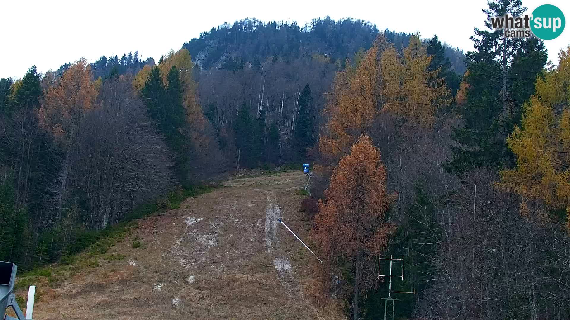 Vitranc Kranjska Gora webcam | VITRANC 1 stazione superiore