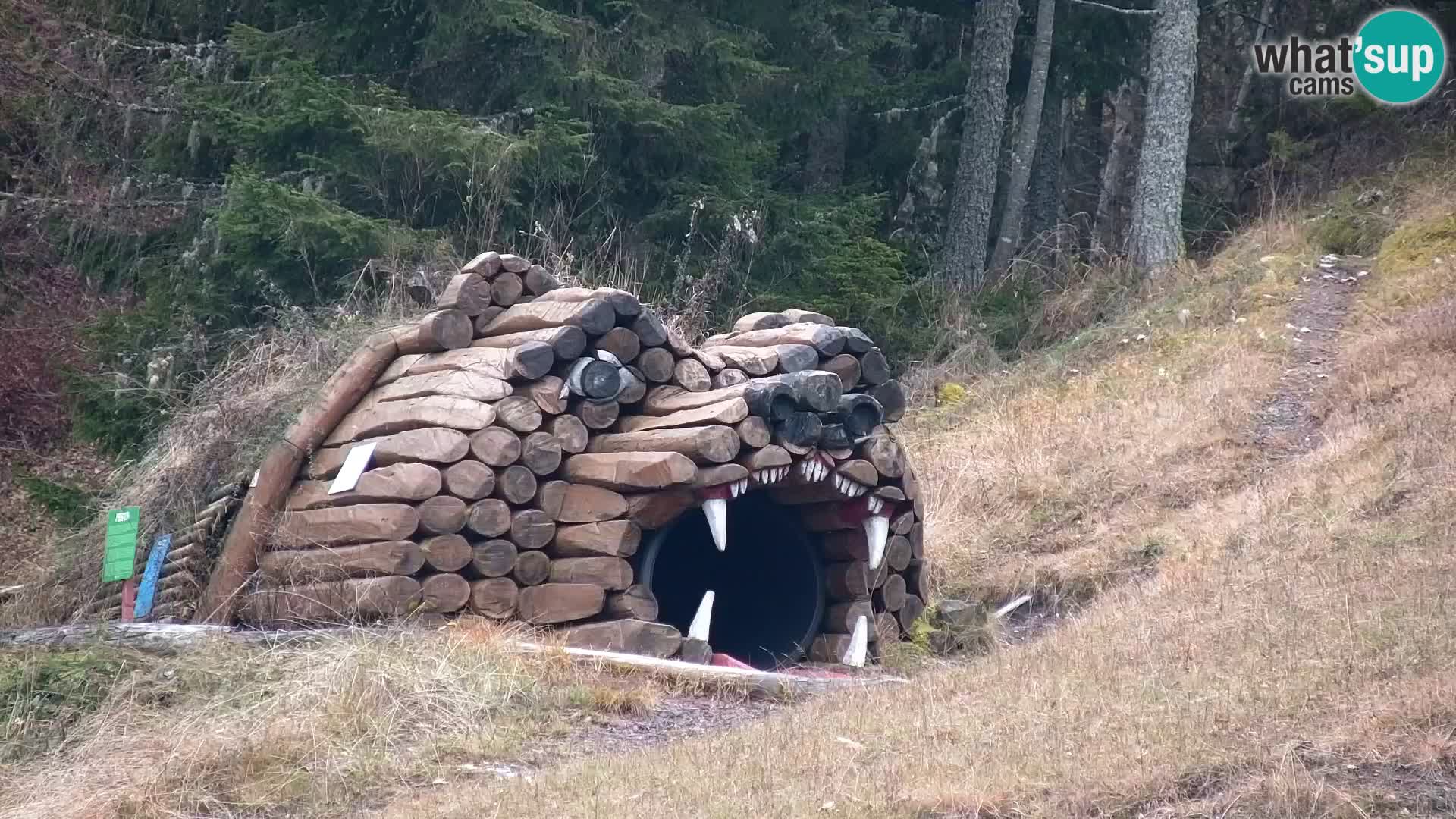 Kranjska Gora web kamera Vitranc | VITRANC 1 gornja postaja