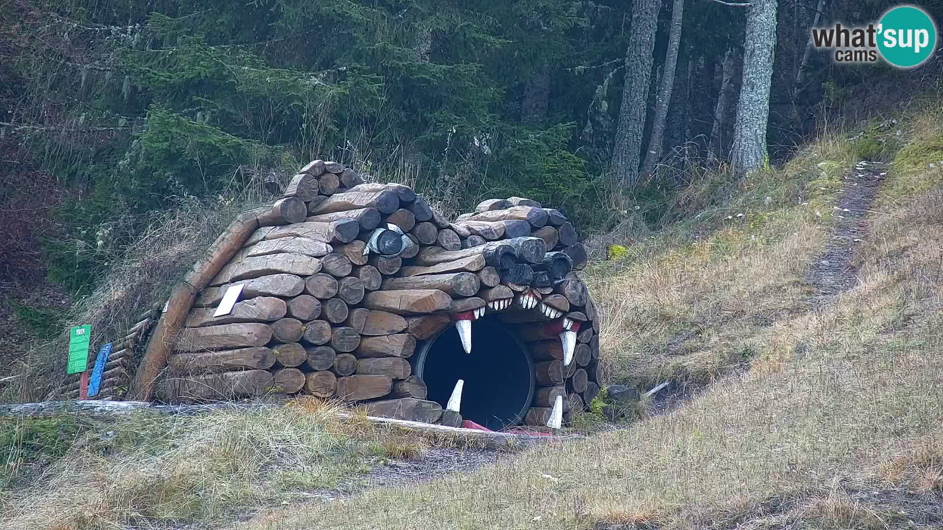 Kranjska Gora livecam VITRANC 1 | estación superior