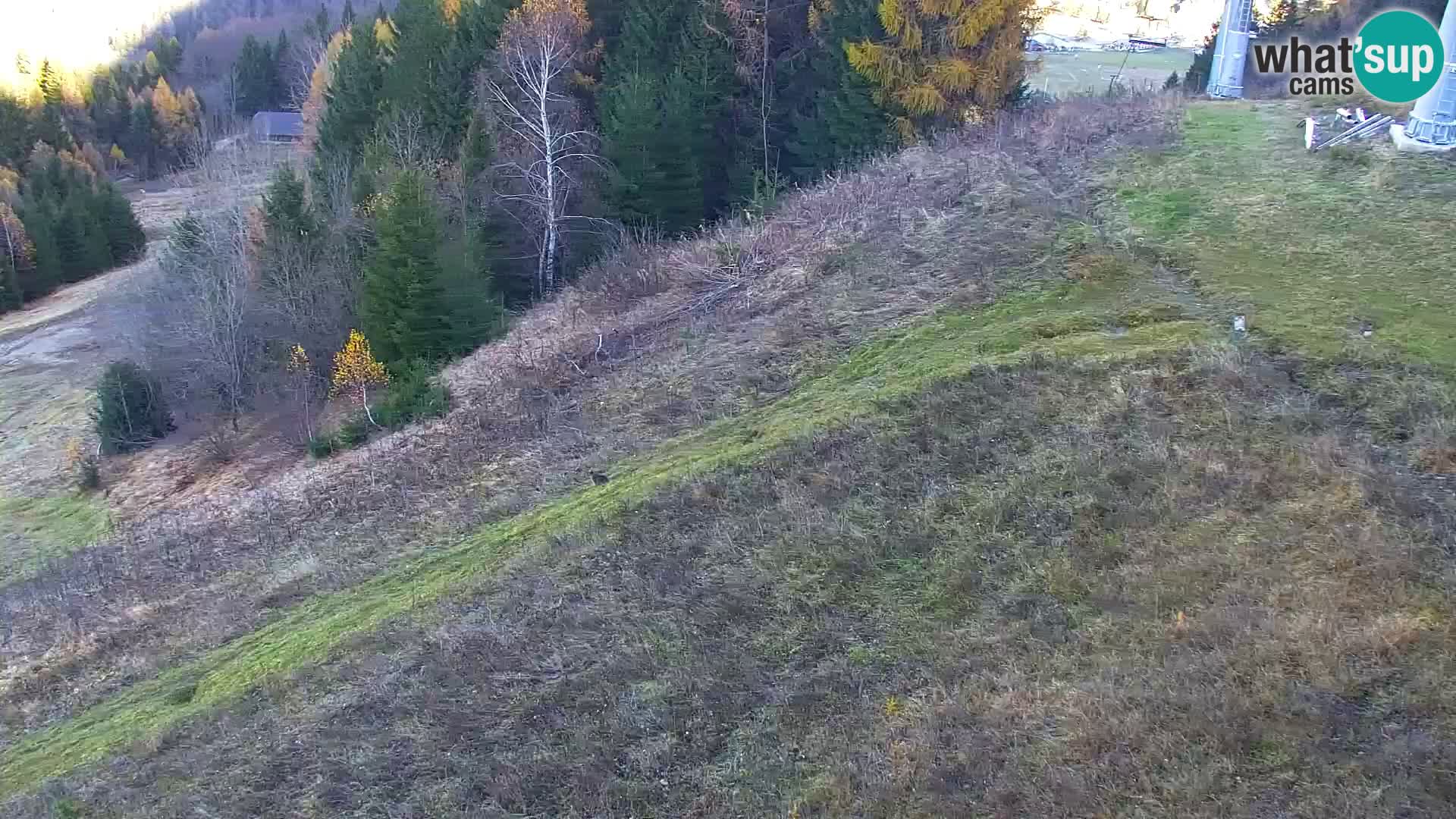 Kranjska Gora livecam VITRANC 1 | estación superior