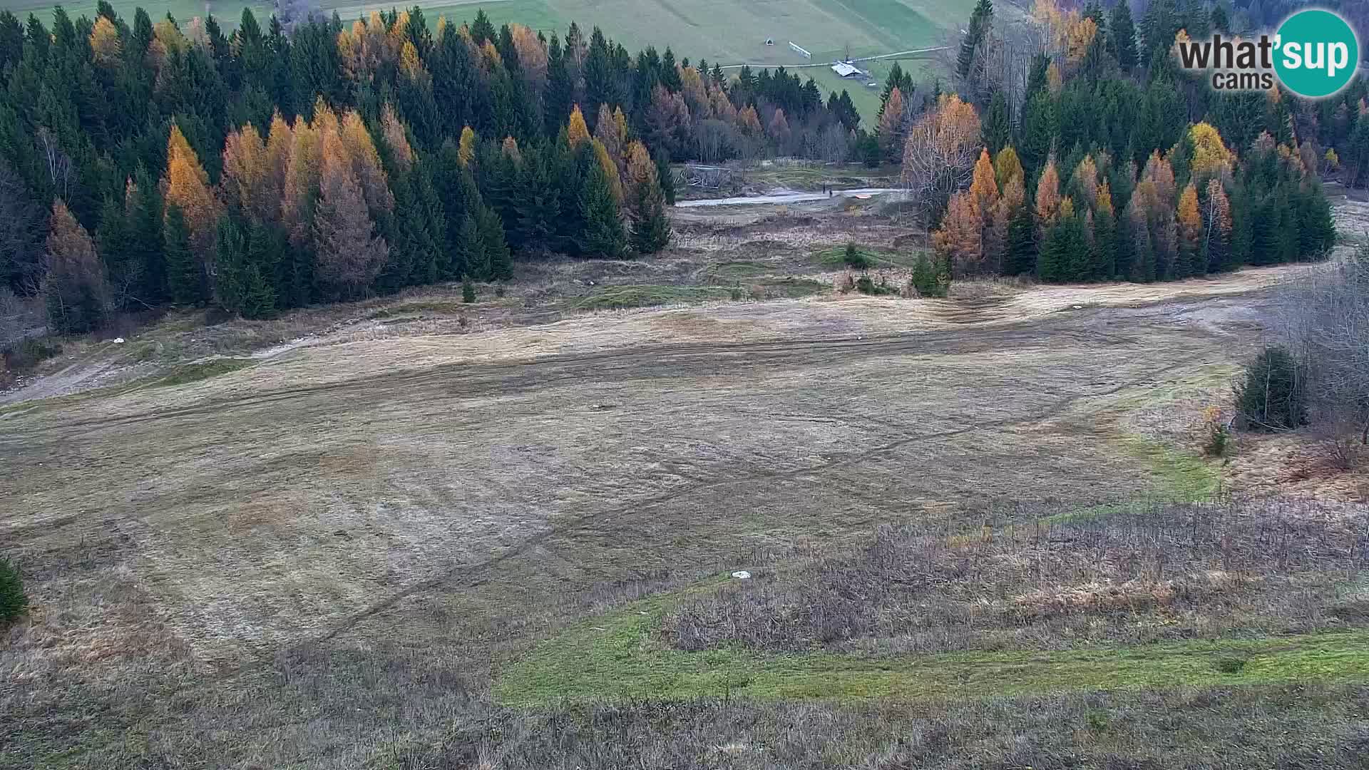 Vitranc Kranjska Gora webcam | VITRANC 1 stazione superiore