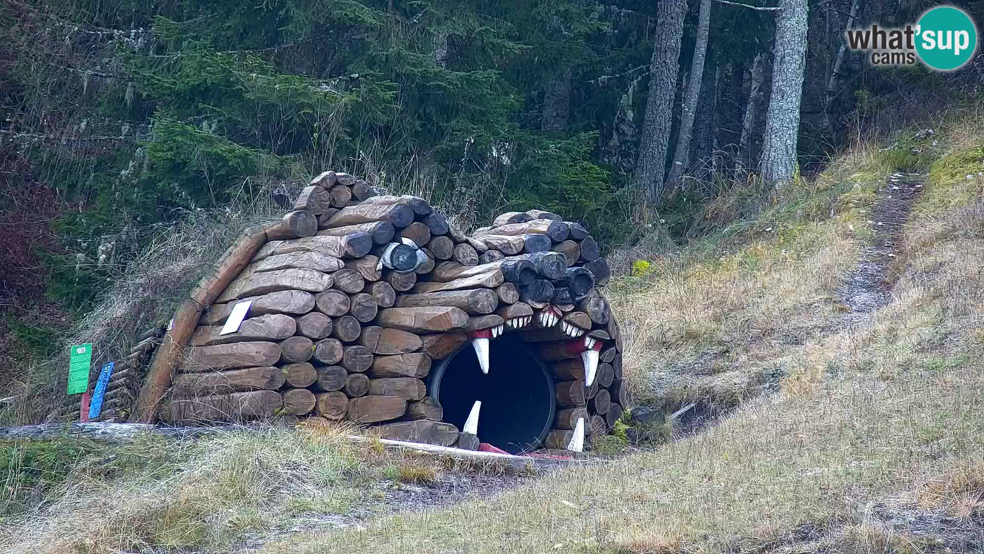 Kranjska Gora webcam VITRANC 1 | obere Station