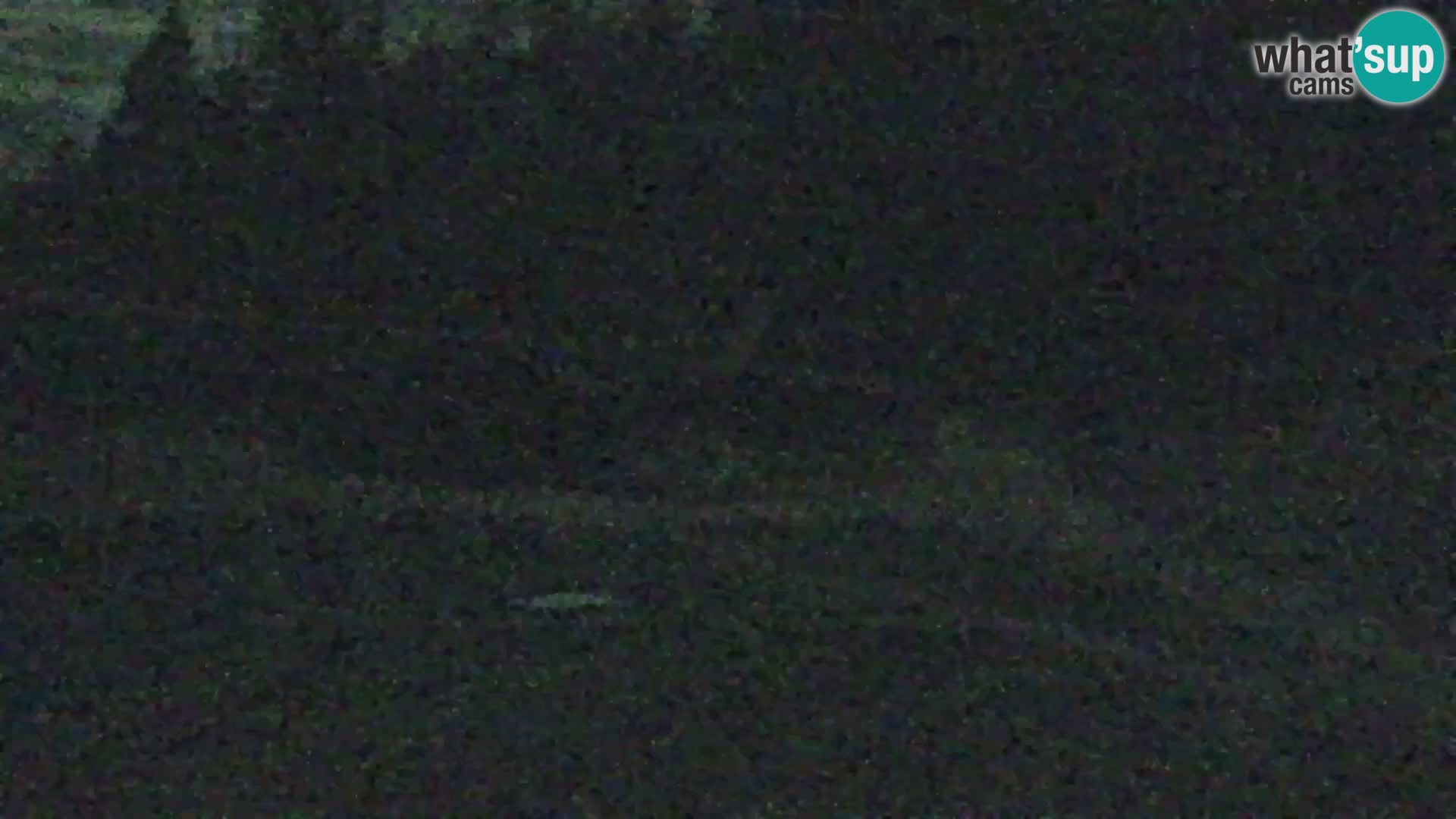 Vitranc Kranjska Gora webcam | VITRANC 1 stazione superiore