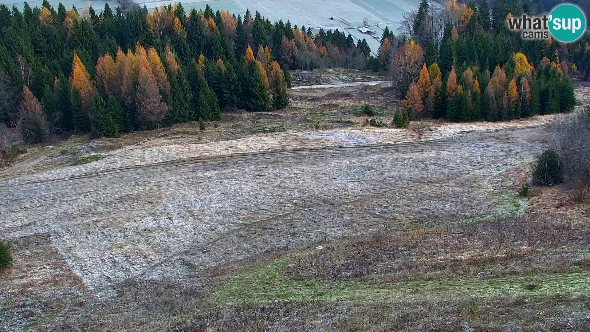 Vitranc Kranjska Gora webcam | VITRANC 1 stazione superiore