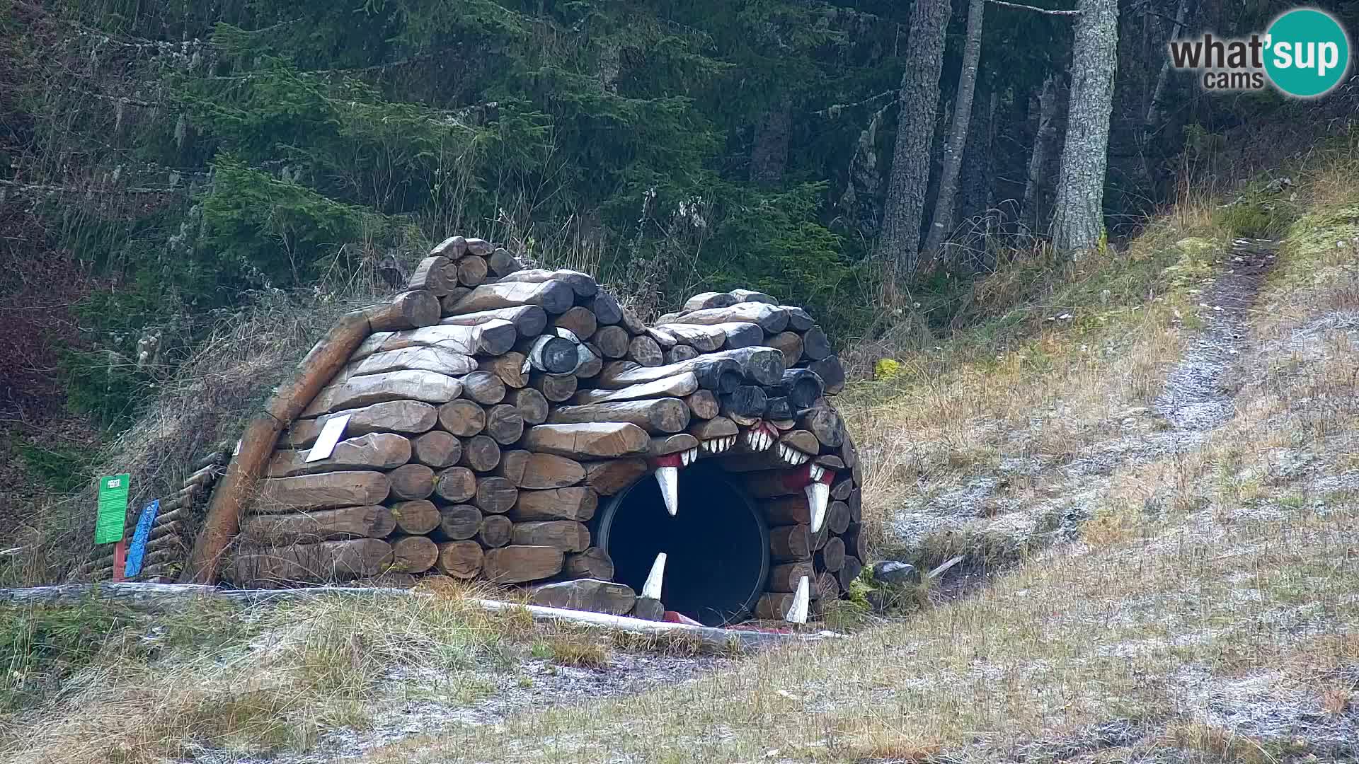 Vitranc Kranjska Gora webcam | VITRANC 1 stazione superiore