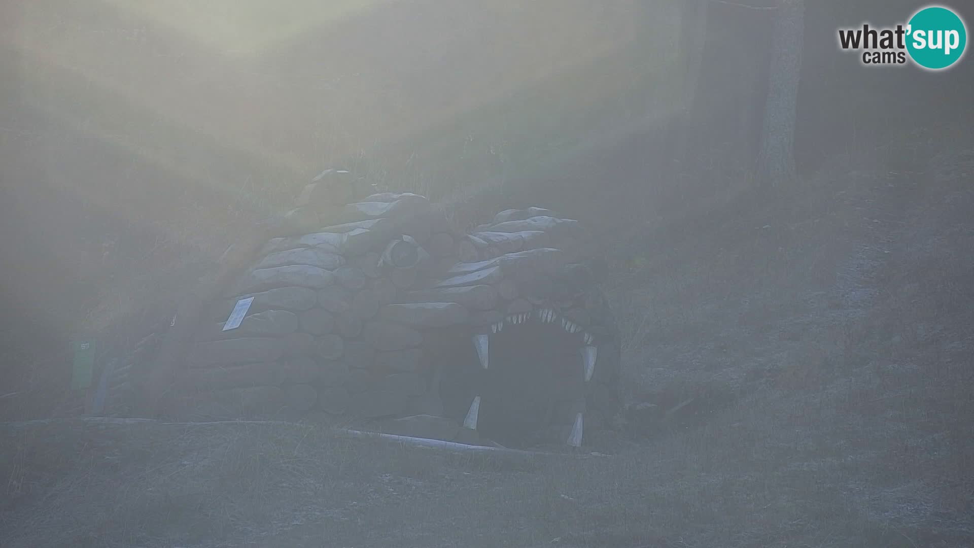 Vitranc Kranjska Gora webcam | VITRANC 1 stazione superiore