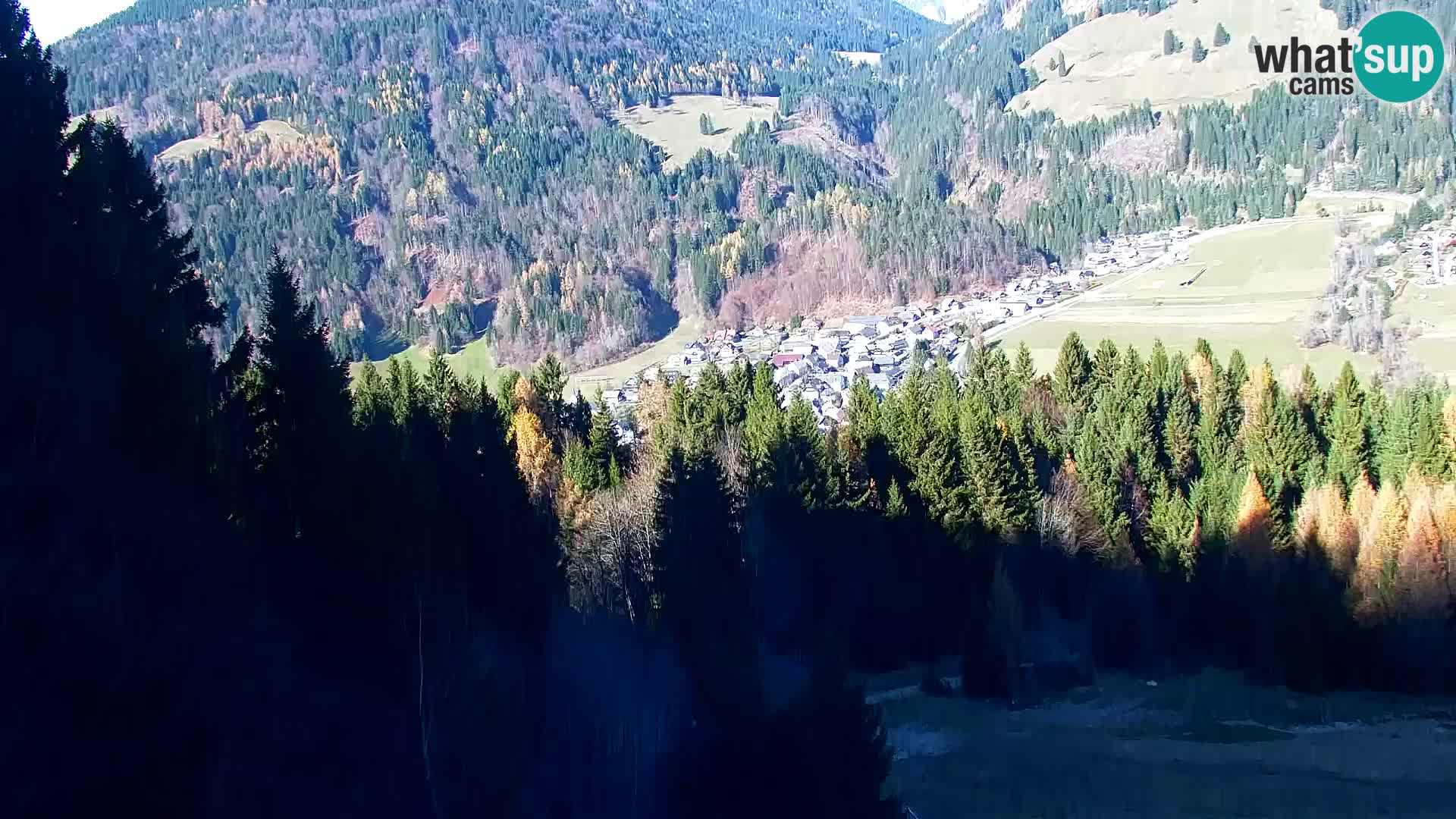 Vitranc Kranjska Gora webcam | VITRANC 1 stazione superiore