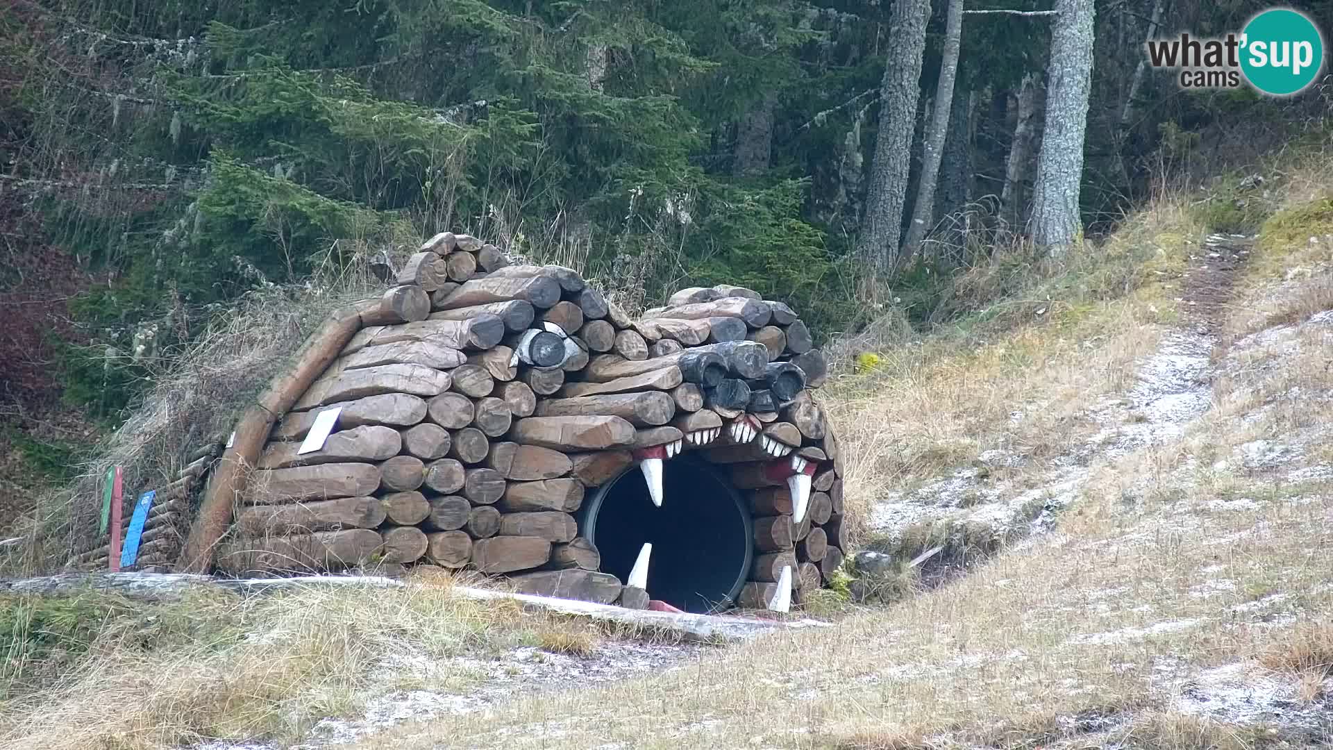 Kranjska Gora web kamera Vitranc | VITRANC 1 gornja postaja