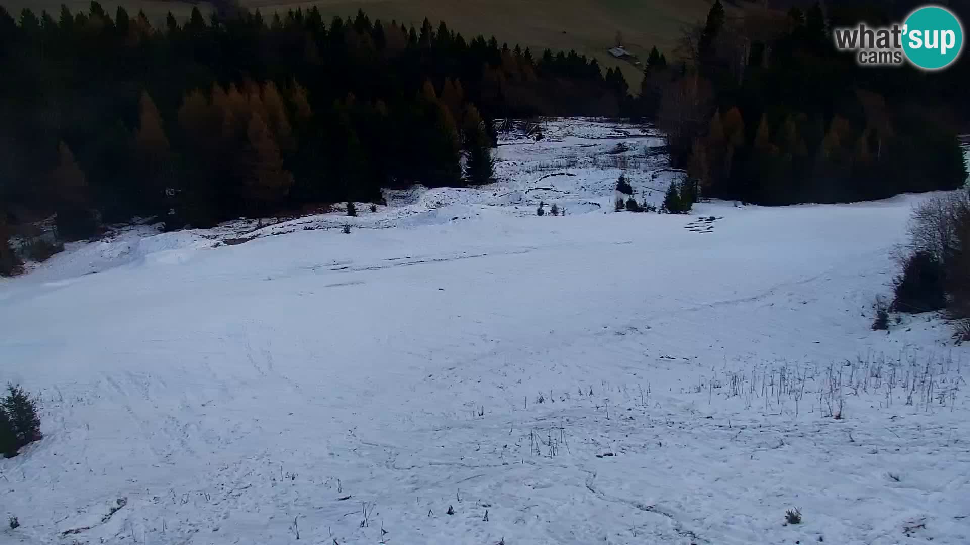 Kranjska Gora livecam VITRANC 1 | estación superior