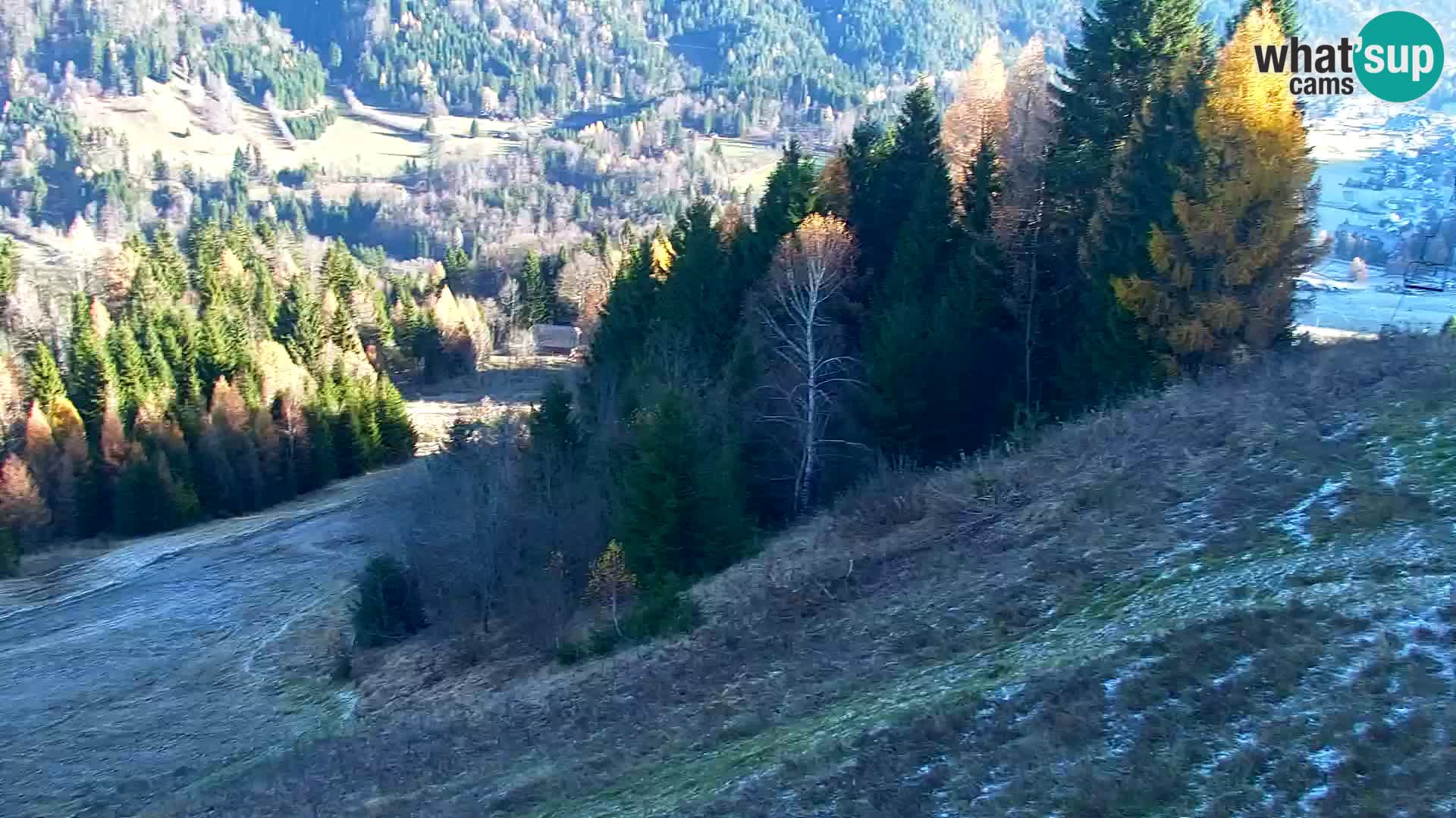 Kranjska Gora web kamera Vitranc | VITRANC 1 gornja postaja