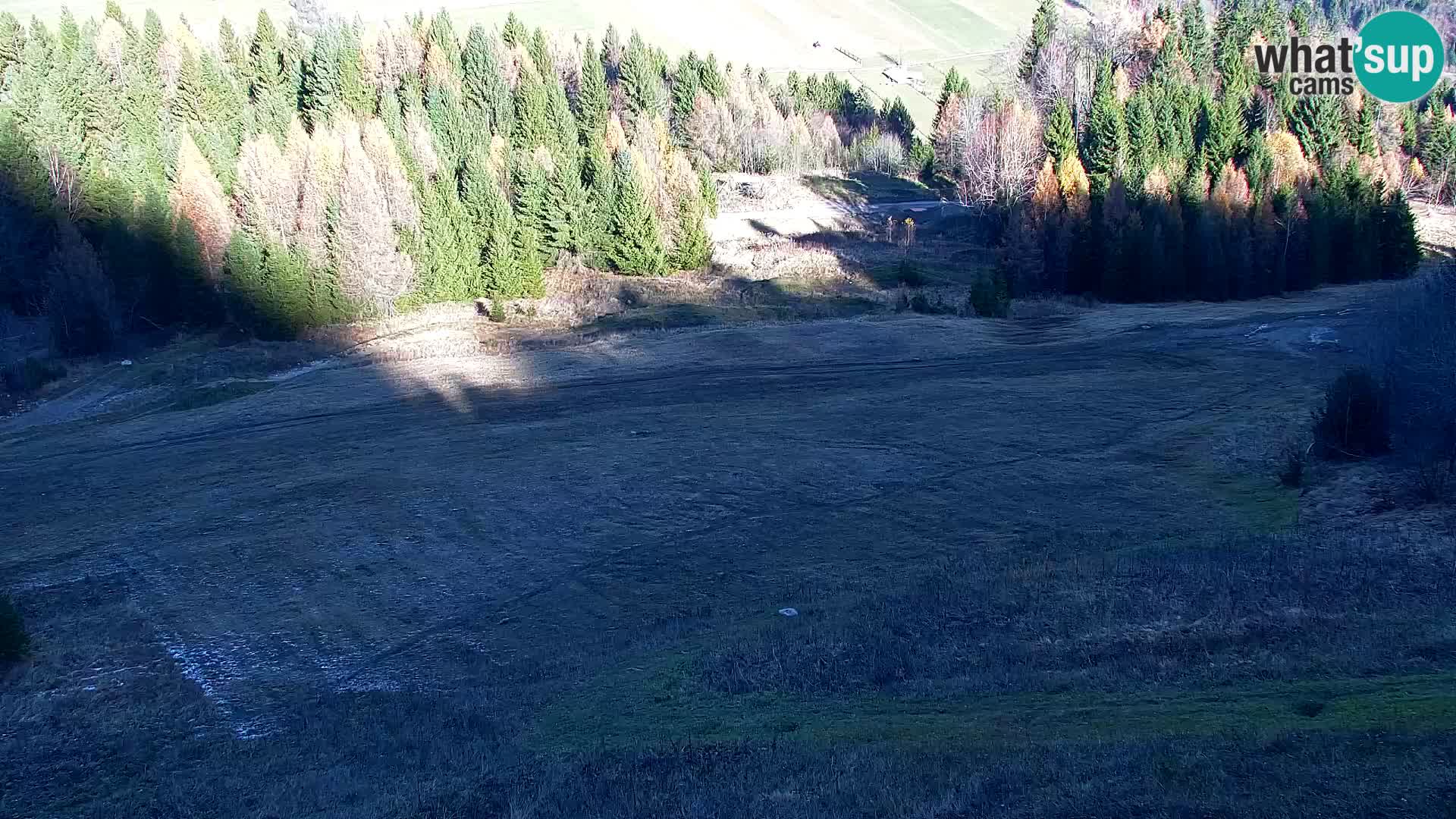 Vitranc Kranjska Gora webcam | VITRANC 1 stazione superiore