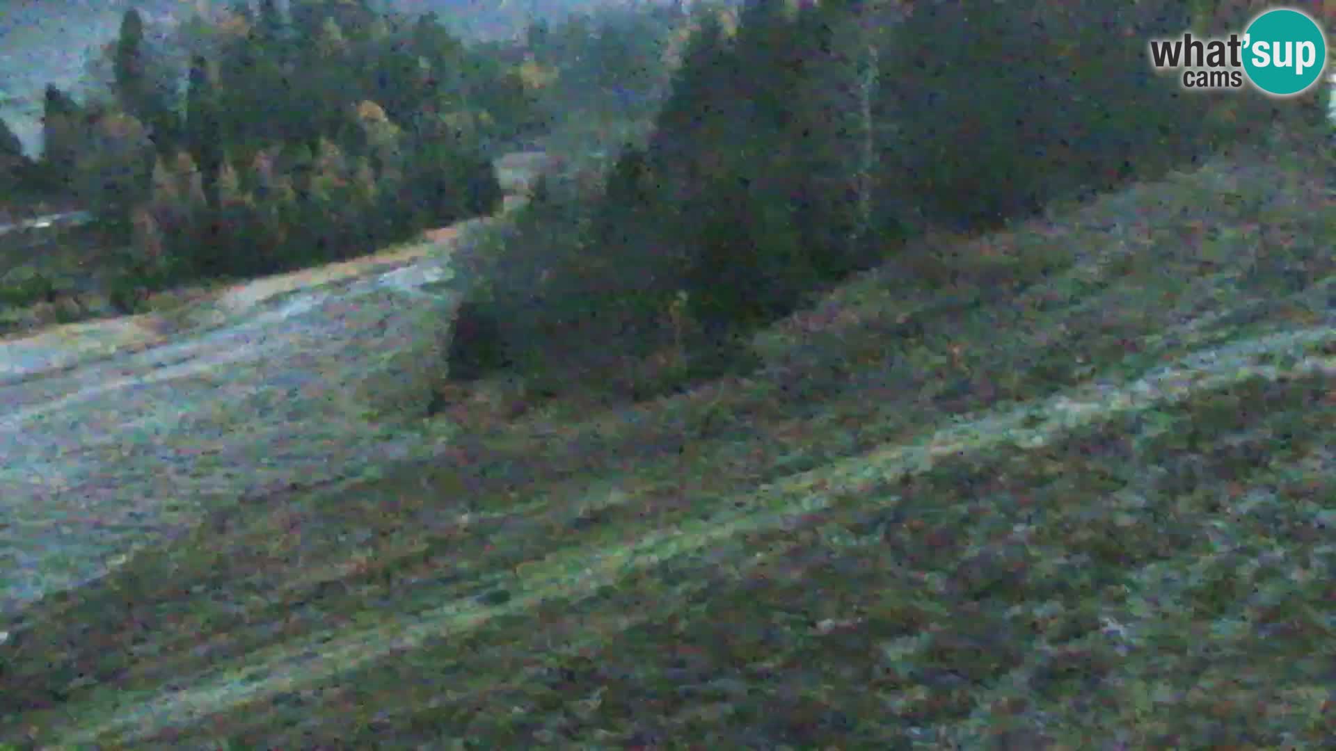 Kranjska Gora webcam VITRANC 1 | obere Station