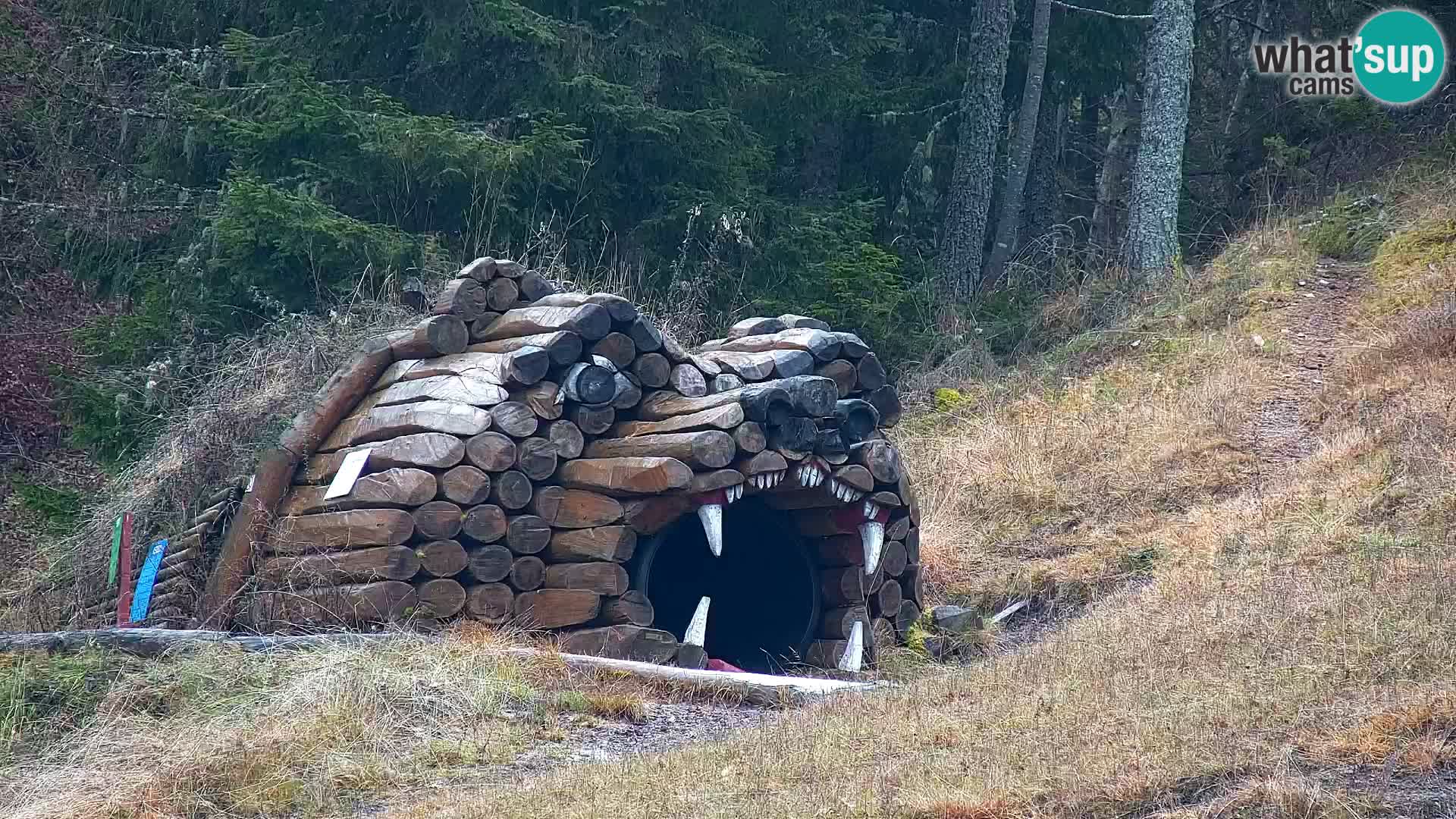 Estación de esquí Kranjska Gora | Estación superior VITRANC 1