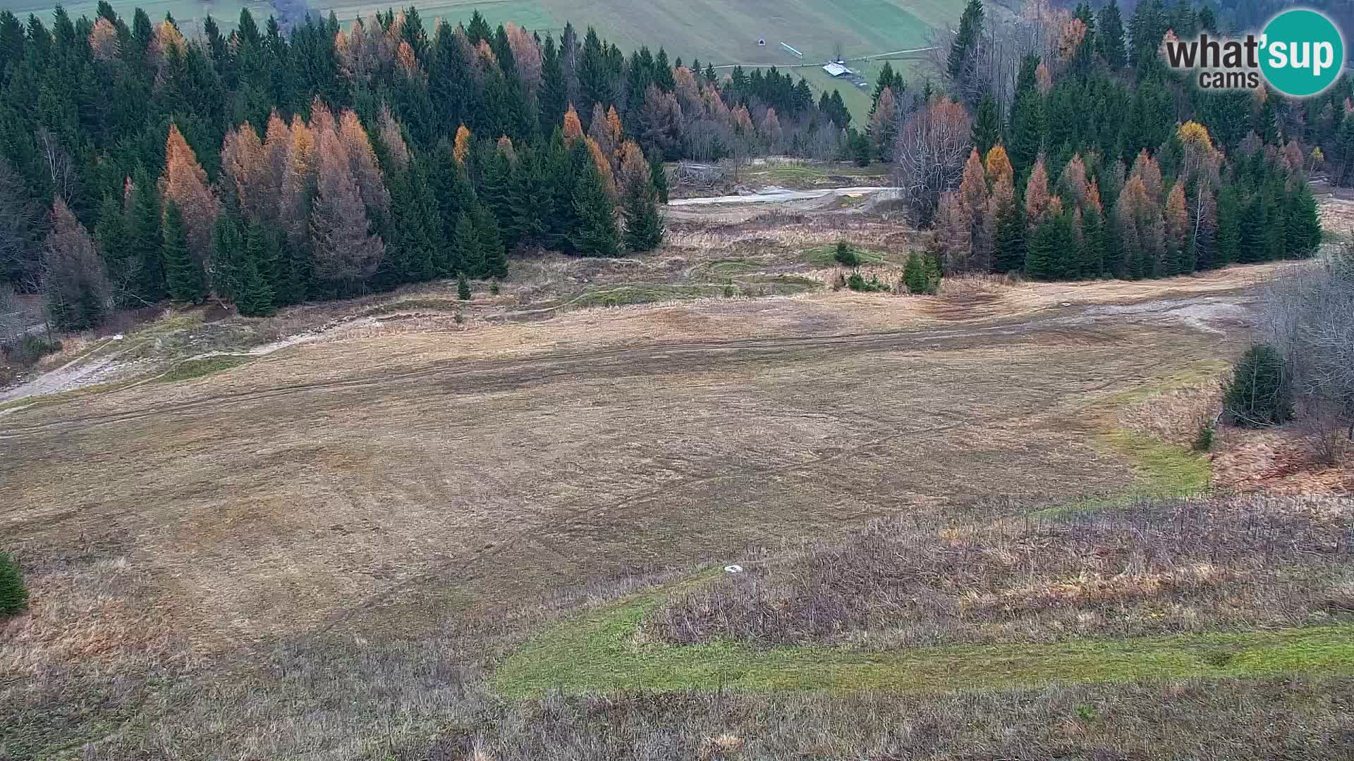 Vitranc Kranjska Gora webcam | VITRANC 1 stazione superiore