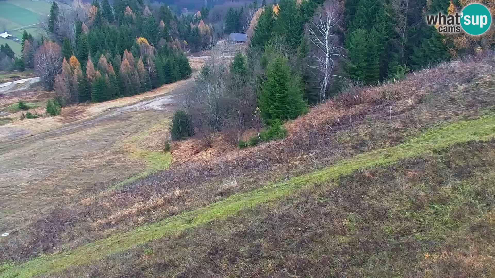 Kranjska Gora livecam VITRANC 1 | estación superior