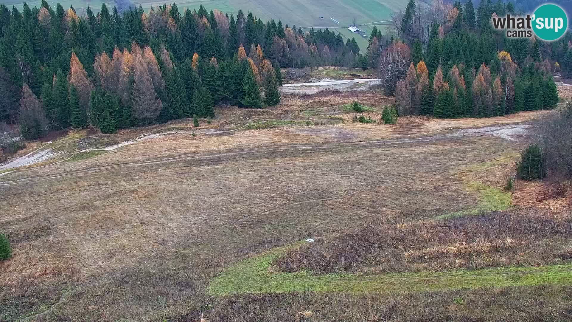 Vitranc Kranjska Gora webcam | VITRANC 1 stazione superiore
