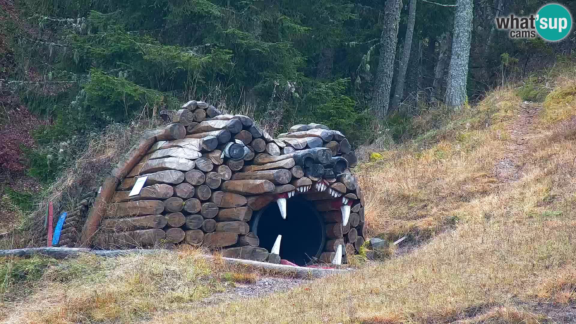 Kranjska Gora web kamera Vitranc | VITRANC 1 gornja postaja