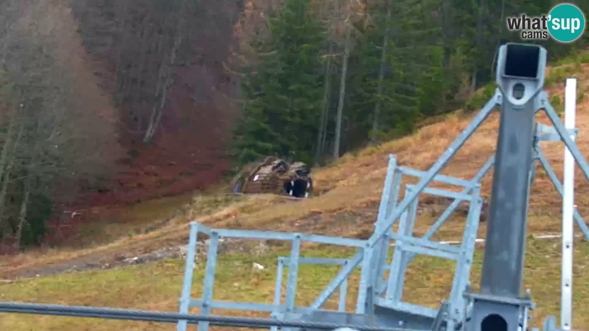 Kranjska Gora livecam VITRANC 1 | estación superior