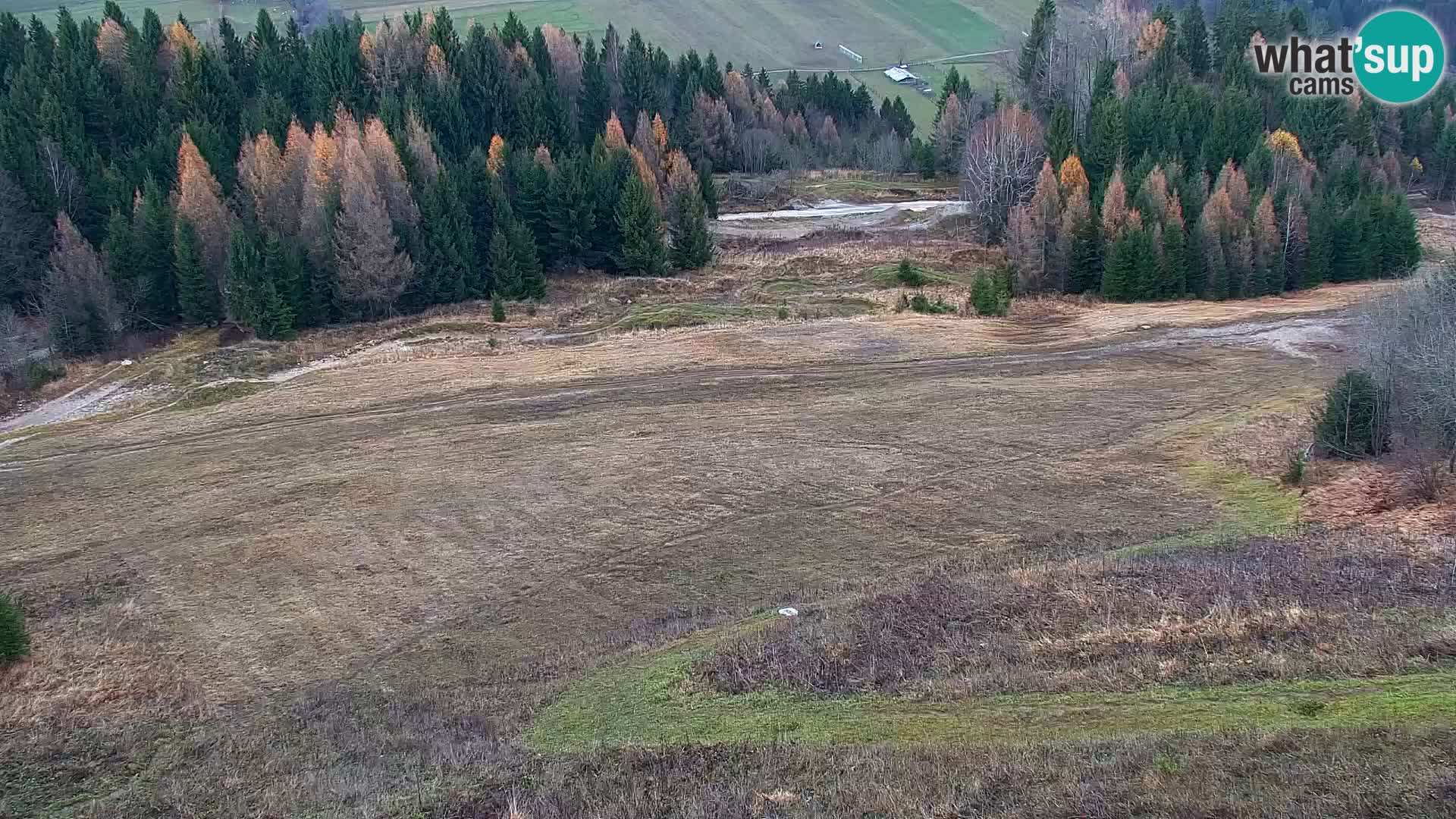 Vitranc Kranjska Gora webcam | VITRANC 1 stazione superiore