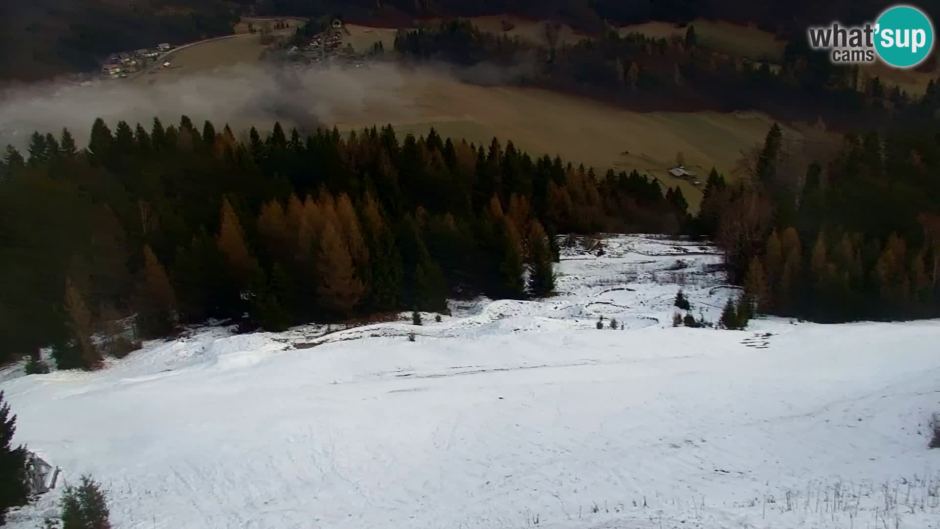 Vitranc Kranjska Gora webcam | VITRANC 1 stazione superiore