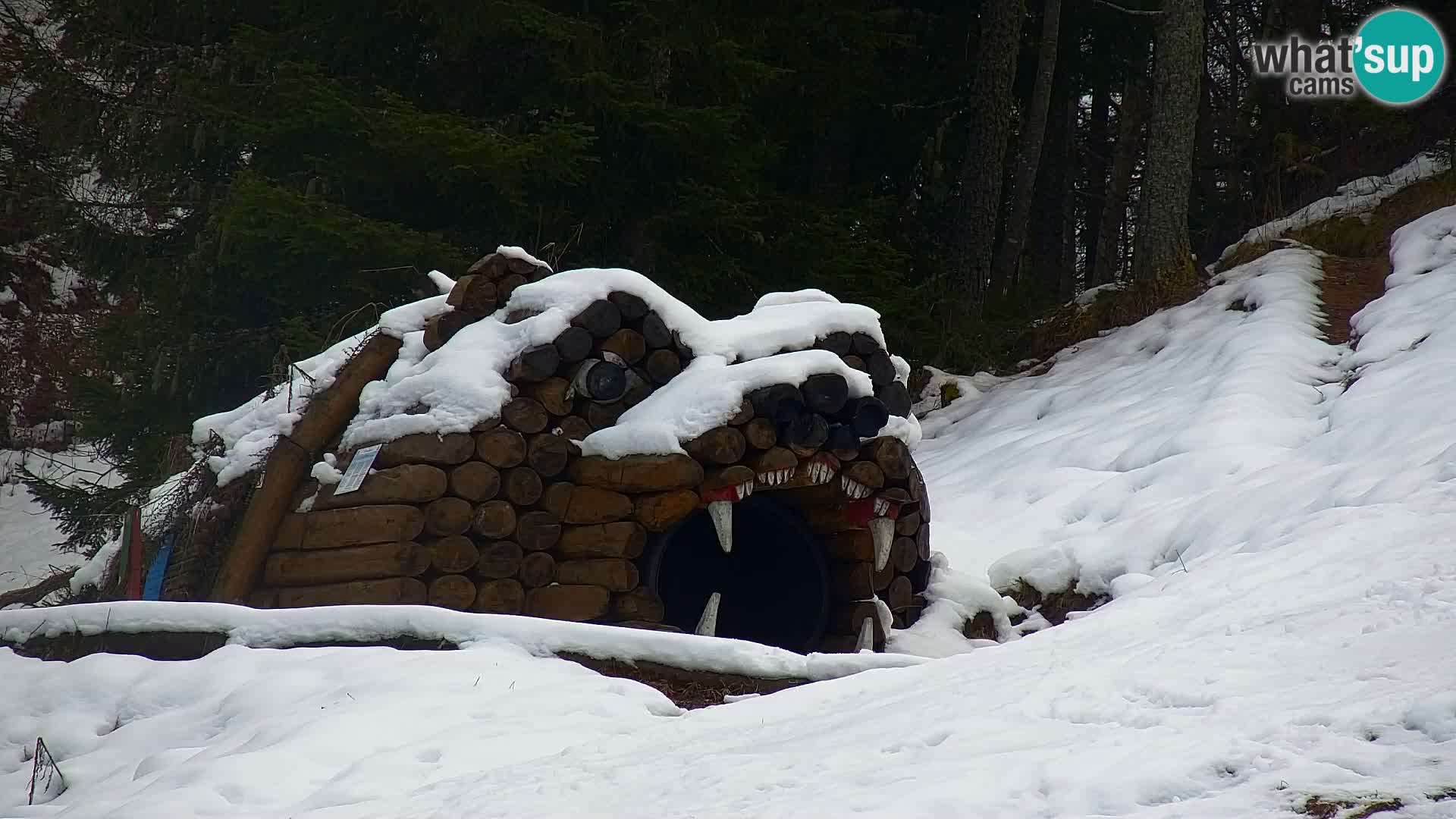 Ski Resort Kranjska Gora | VITRANC 1 upper station