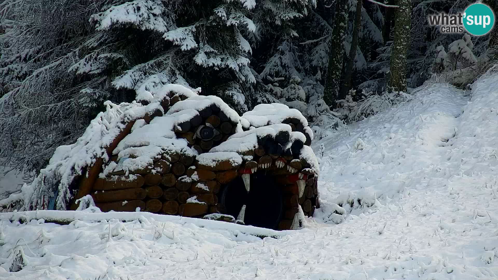 Kranjska Gora livecam VITRANC 1 | estación superior