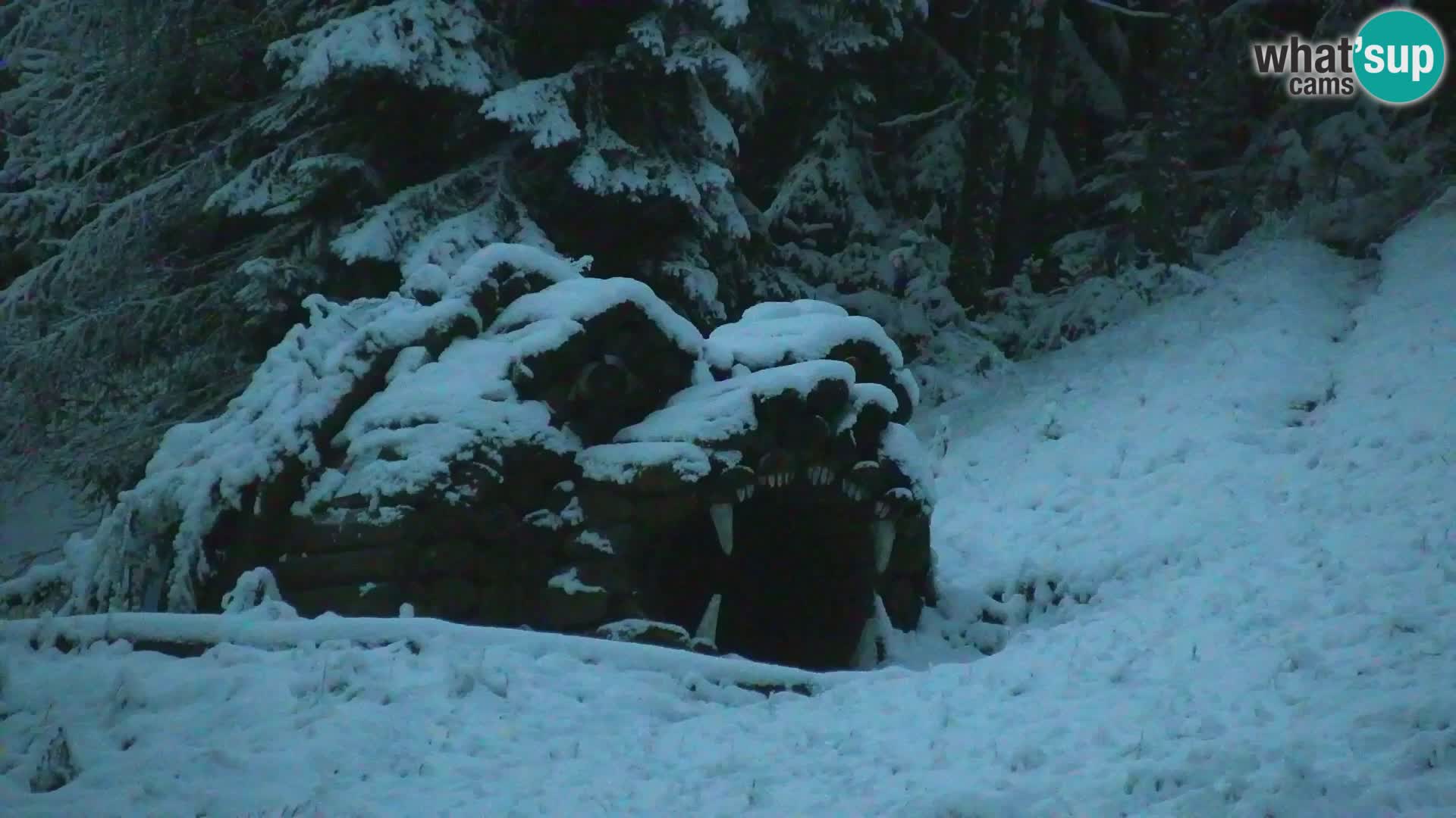 Kranjska Gora kamera VITRANC 1 | Zgornja postaja