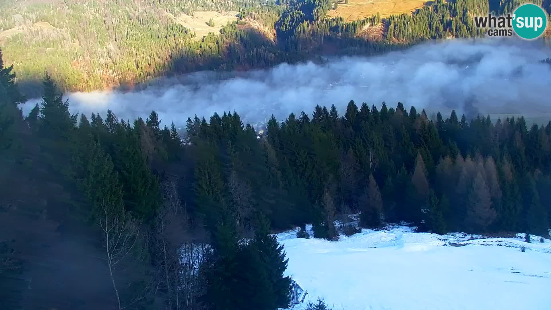 Vitranc Kranjska Gora webcam | VITRANC 1 stazione superiore