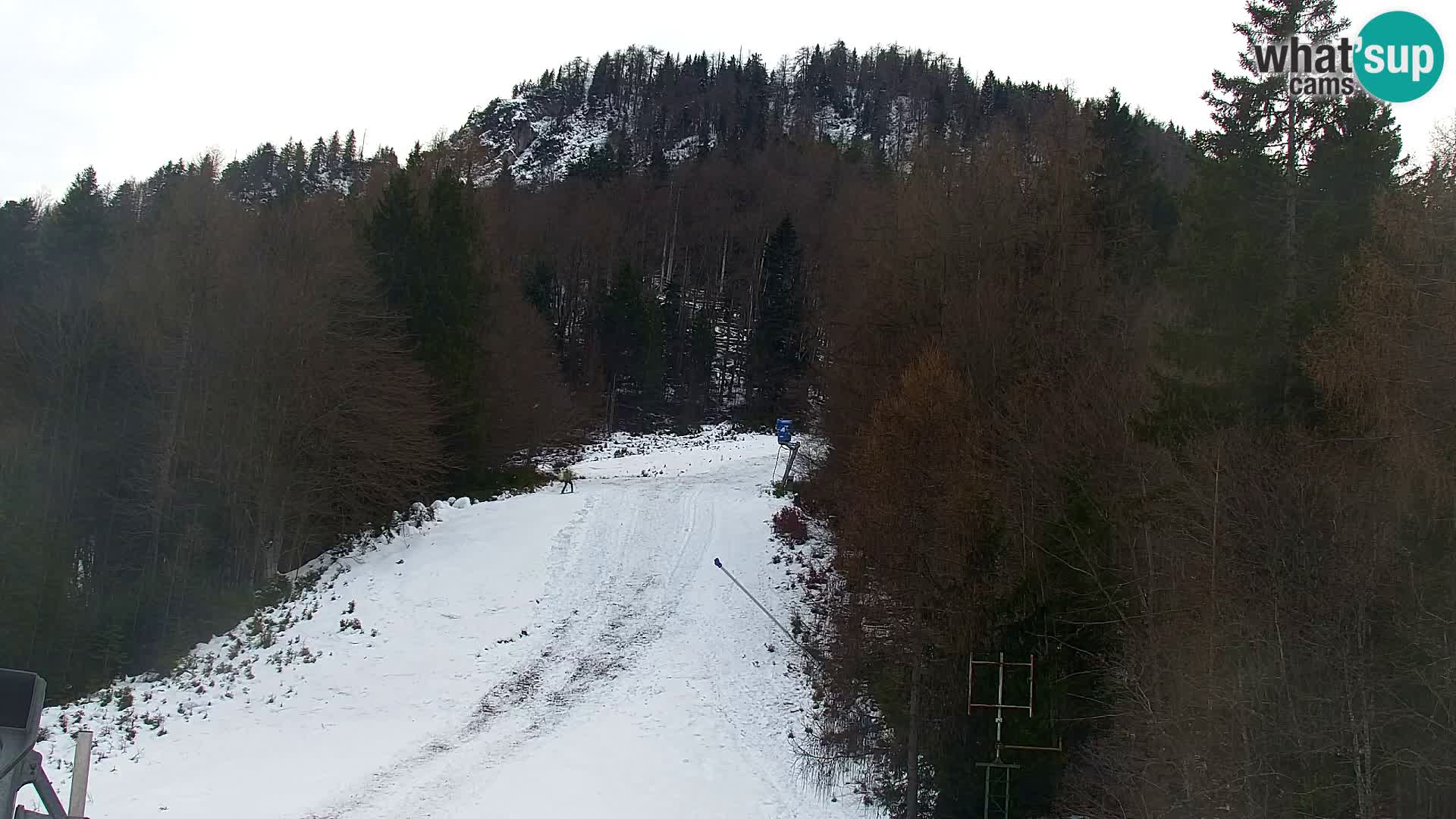 Kranjska Gora webcam VITRANC 1 | obere Station