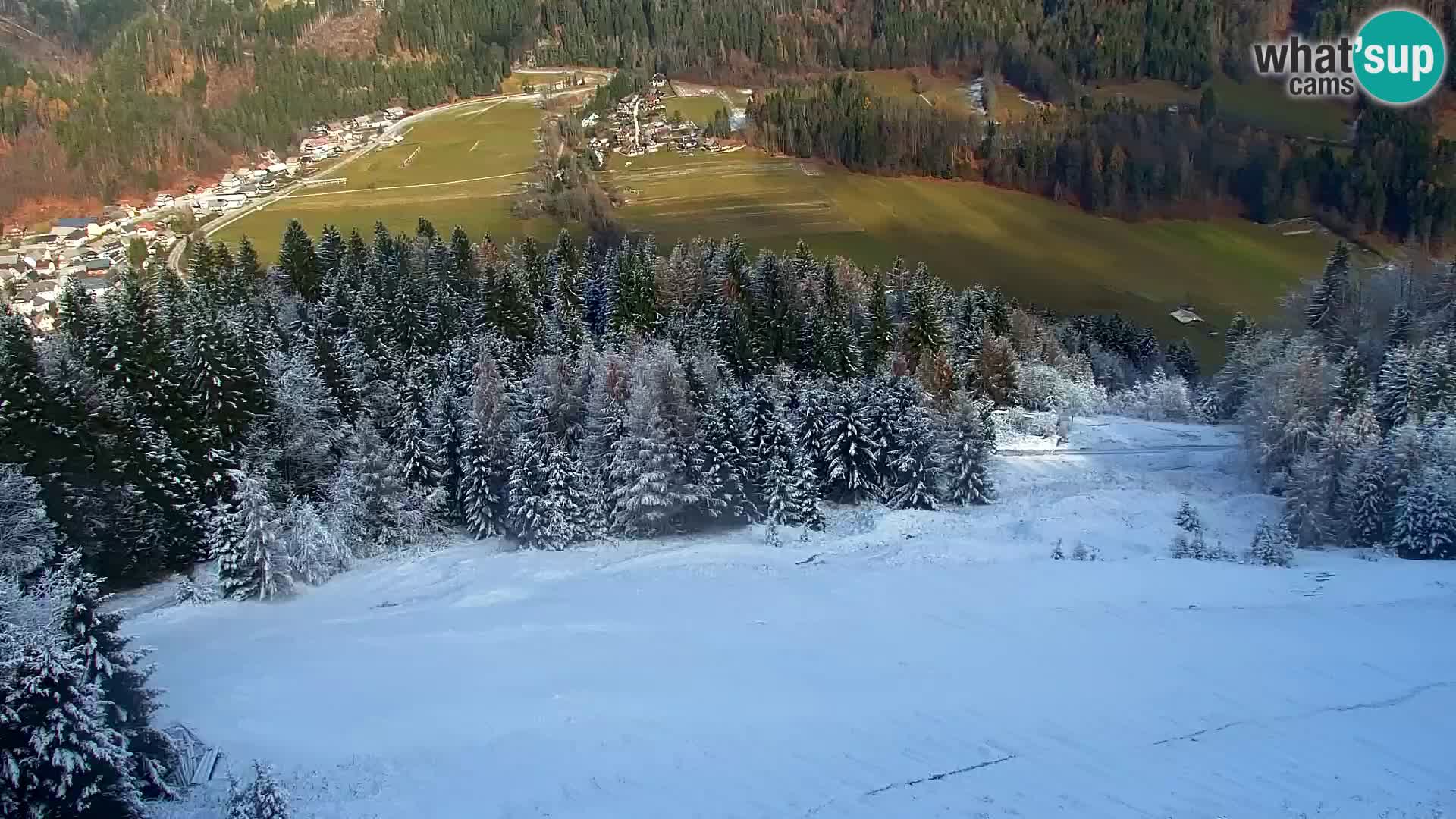 Vitranc Kranjska Gora webcam | VITRANC 1 stazione superiore
